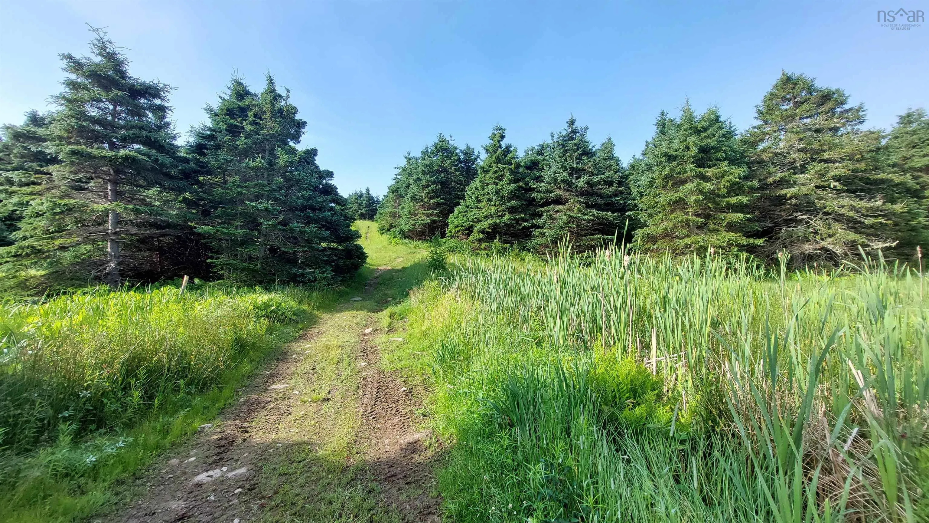 26 Acre 247 Highway, Lardoise, NS B0E 1S0, ,Land,For Sale,247 Highway,202518142