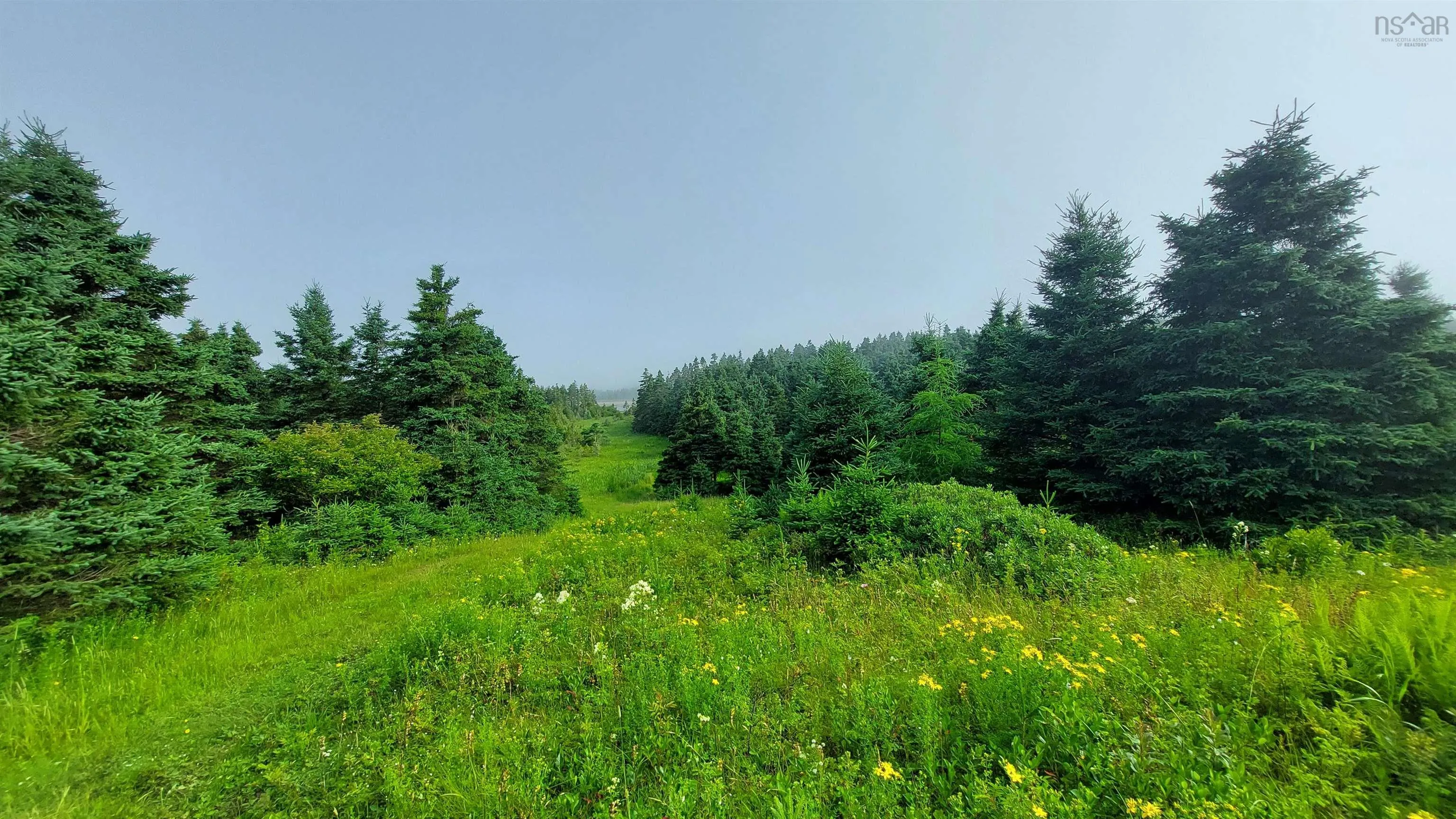26 Acre 247 Highway, Lardoise, NS B0E 1S0, ,Land,For Sale,247 Highway,202518142