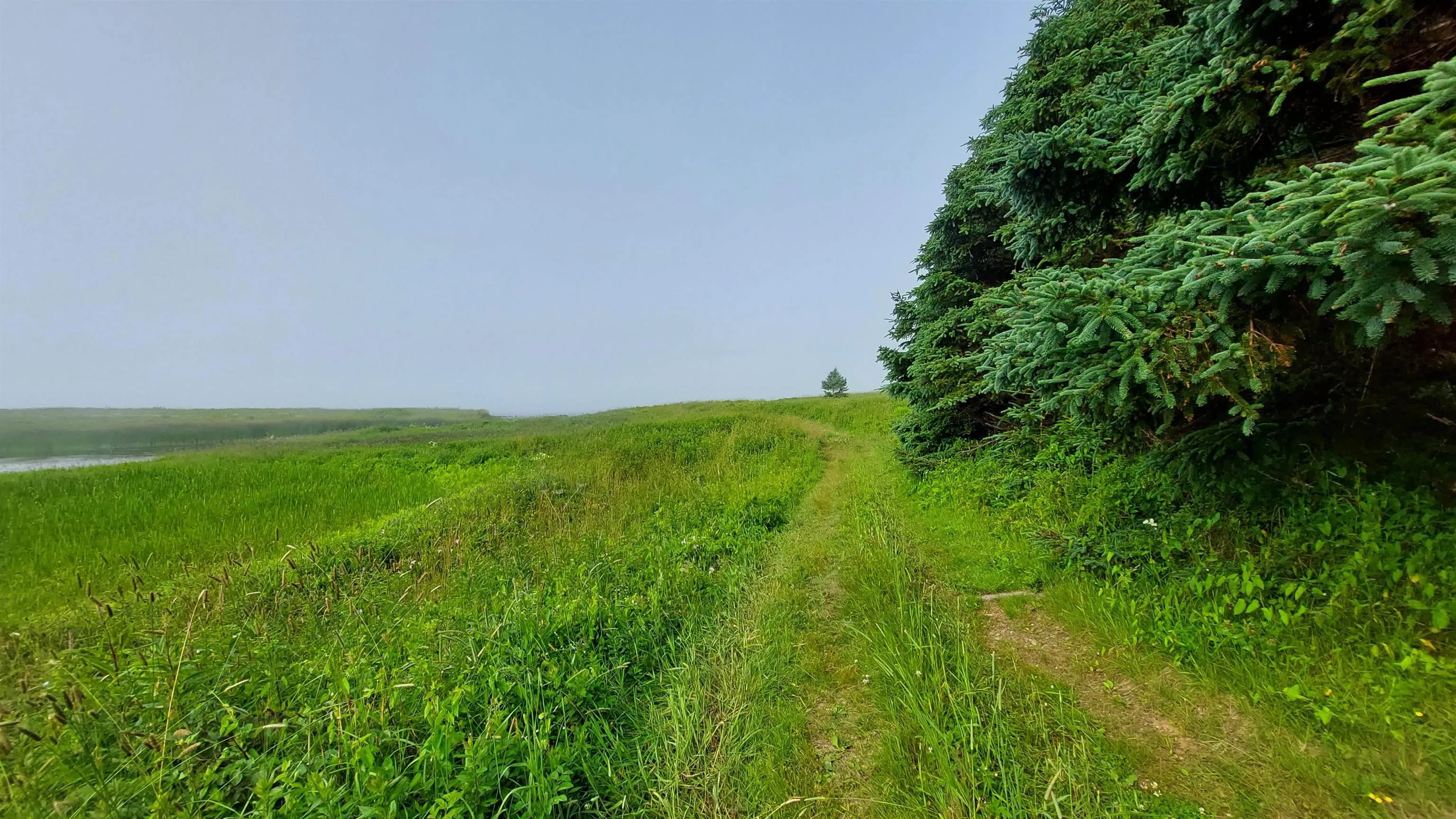 26 Acre 247 Highway, Lardoise, NS B0E 1S0, ,Land,For Sale,247 Highway,202518142