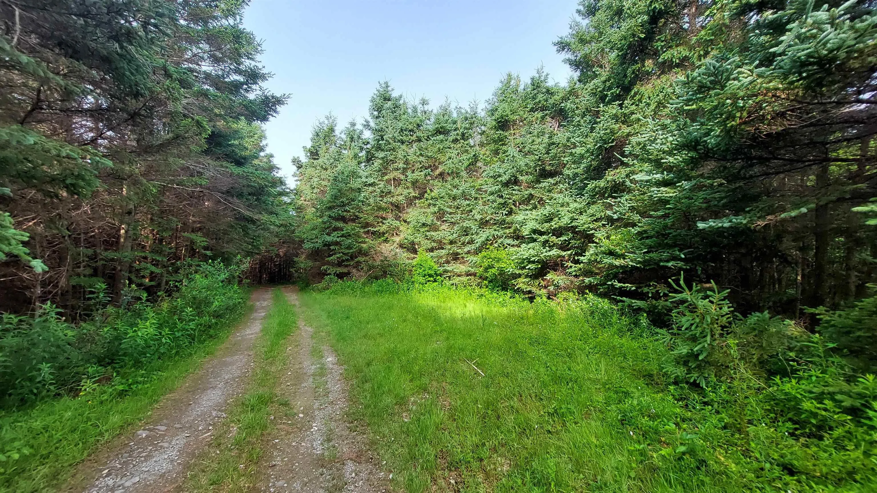 26 Acre 247 Highway, Lardoise, NS B0E 1S0, ,Land,For Sale,247 Highway,202518142