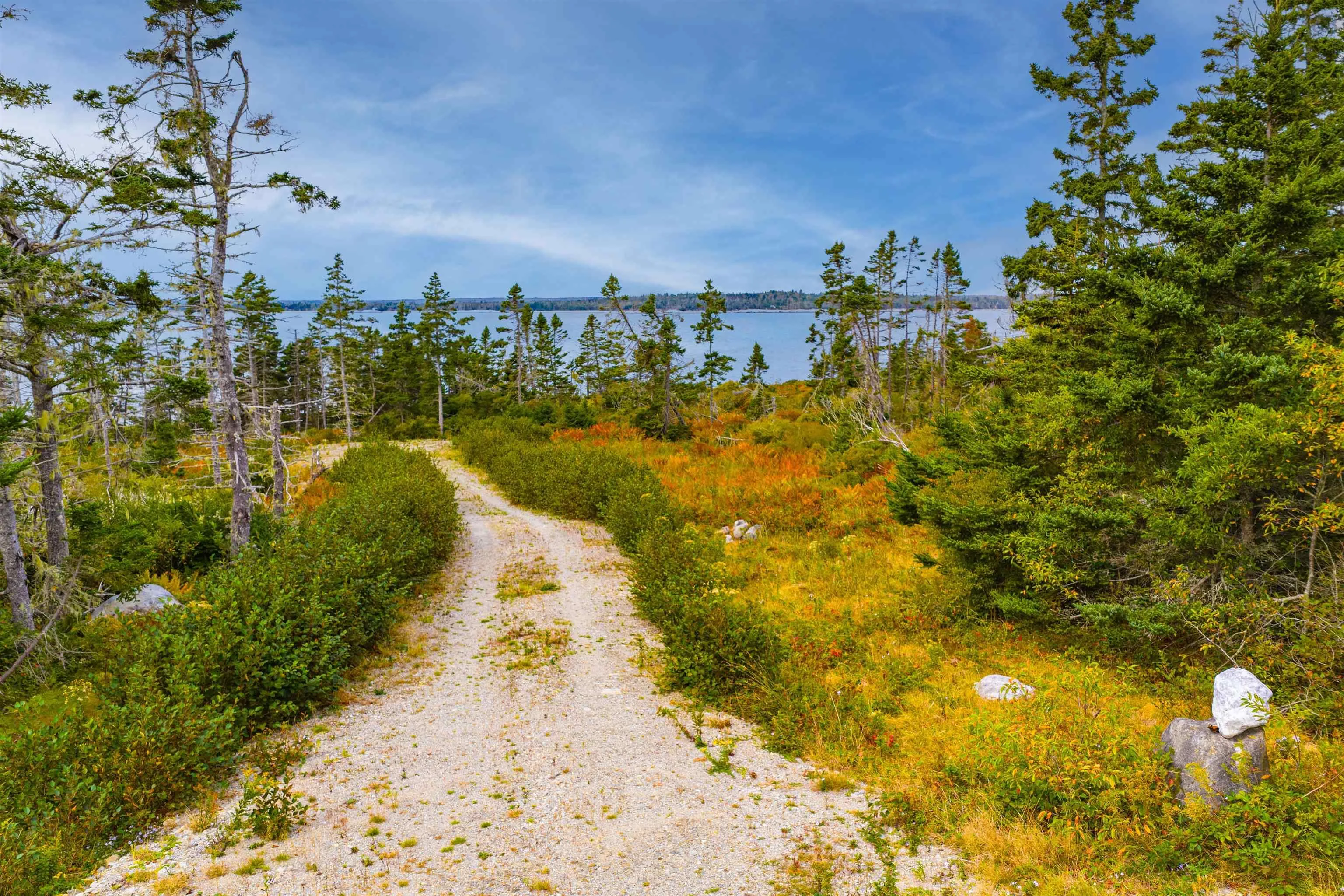 155 Mackenzies Road, East Green Harbour, NS B0T 1L0, ,Land,For Sale,Mackenzies,202524880