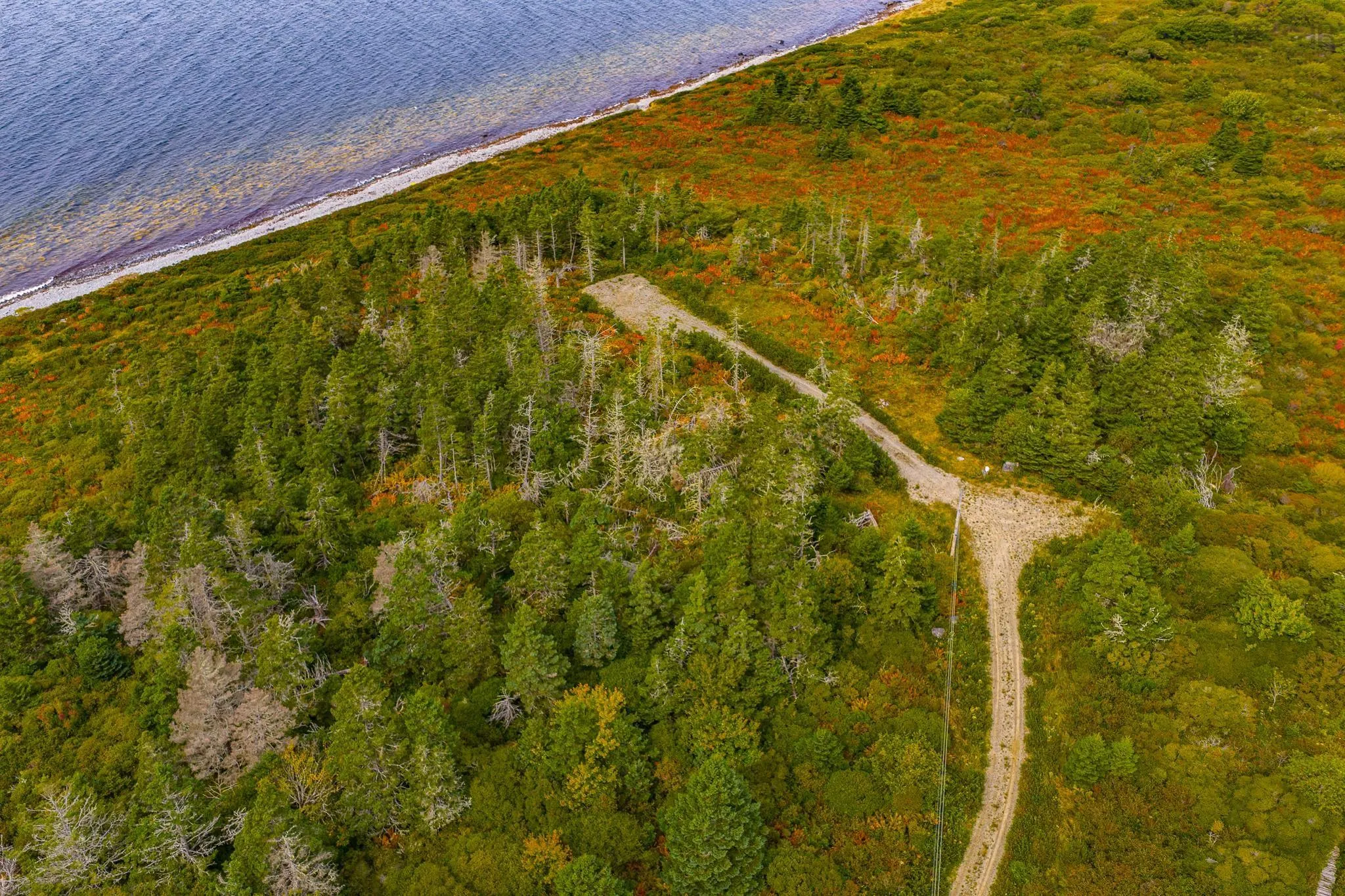 155 Mackenzies Road, East Green Harbour, NS B0T 1L0, ,Land,For Sale,Mackenzies,202524880