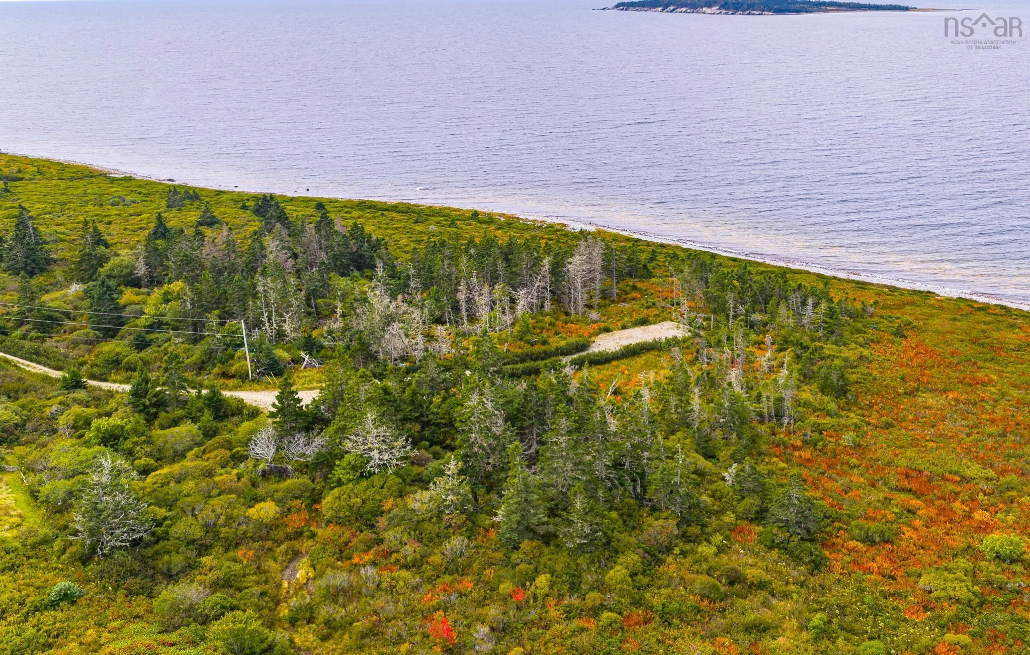 155 Mackenzies Road, East Green Harbour, NS B0T 1L0, ,Land,For Sale,Mackenzies,202524880