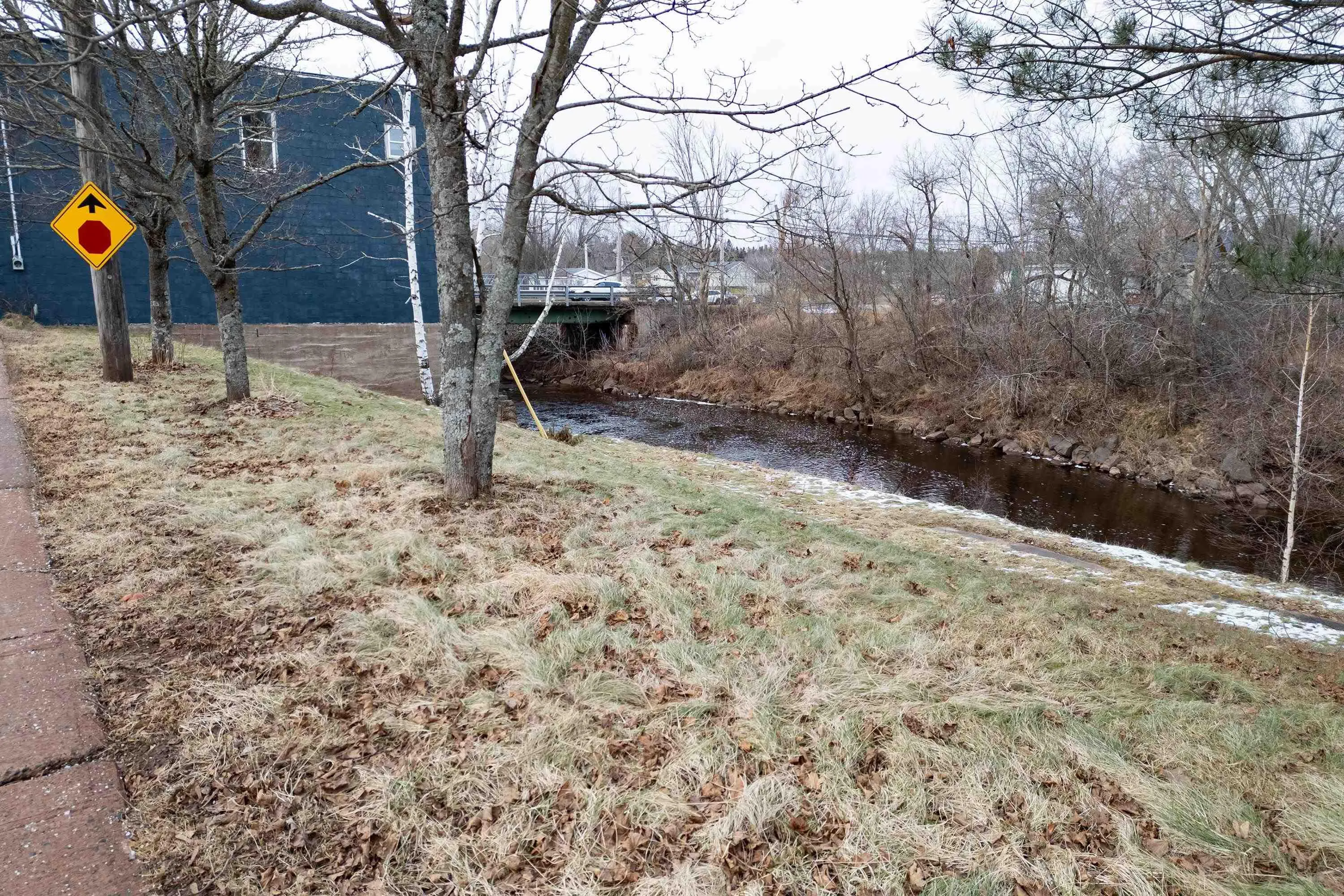 9 Water Street, Oxford, NS B0M 1P0, ,Land,For Sale,Water,202519976