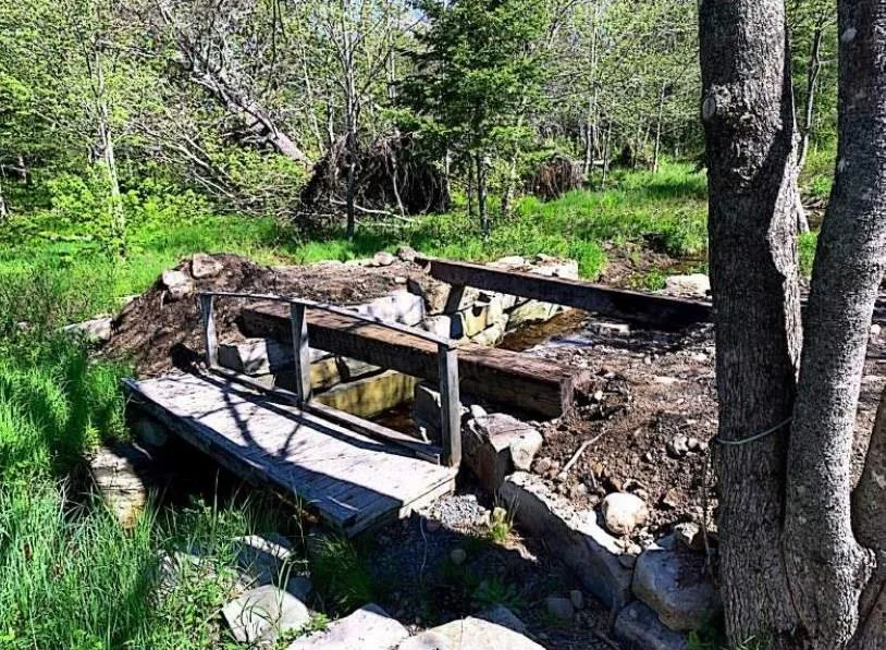 15 Nauglers Settlement Road, Moser River, NS B0J 2K0, ,Land,For Sale,Nauglers Settlement,202500208