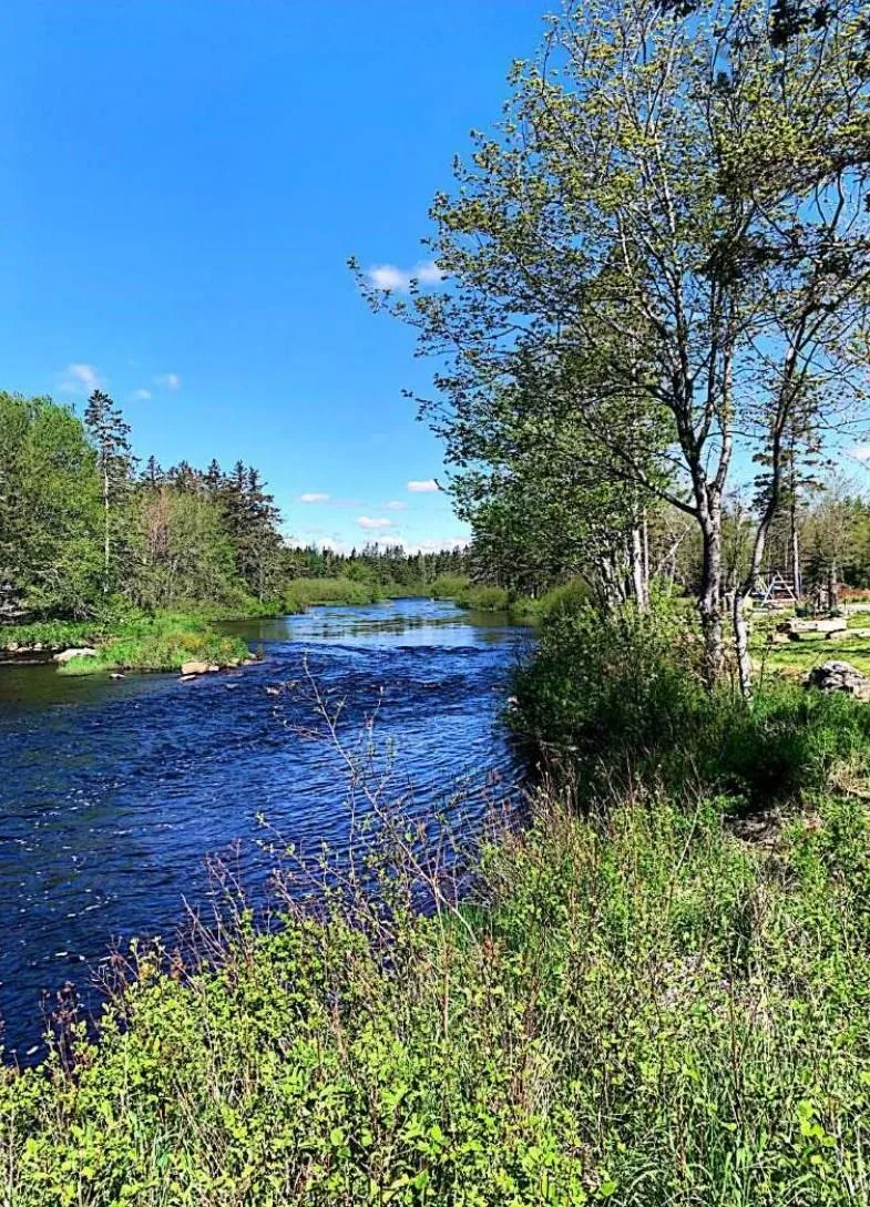 15 Nauglers Settlement Road, Moser River, NS B0J 2K0, ,Land,For Sale,Nauglers Settlement,202500208