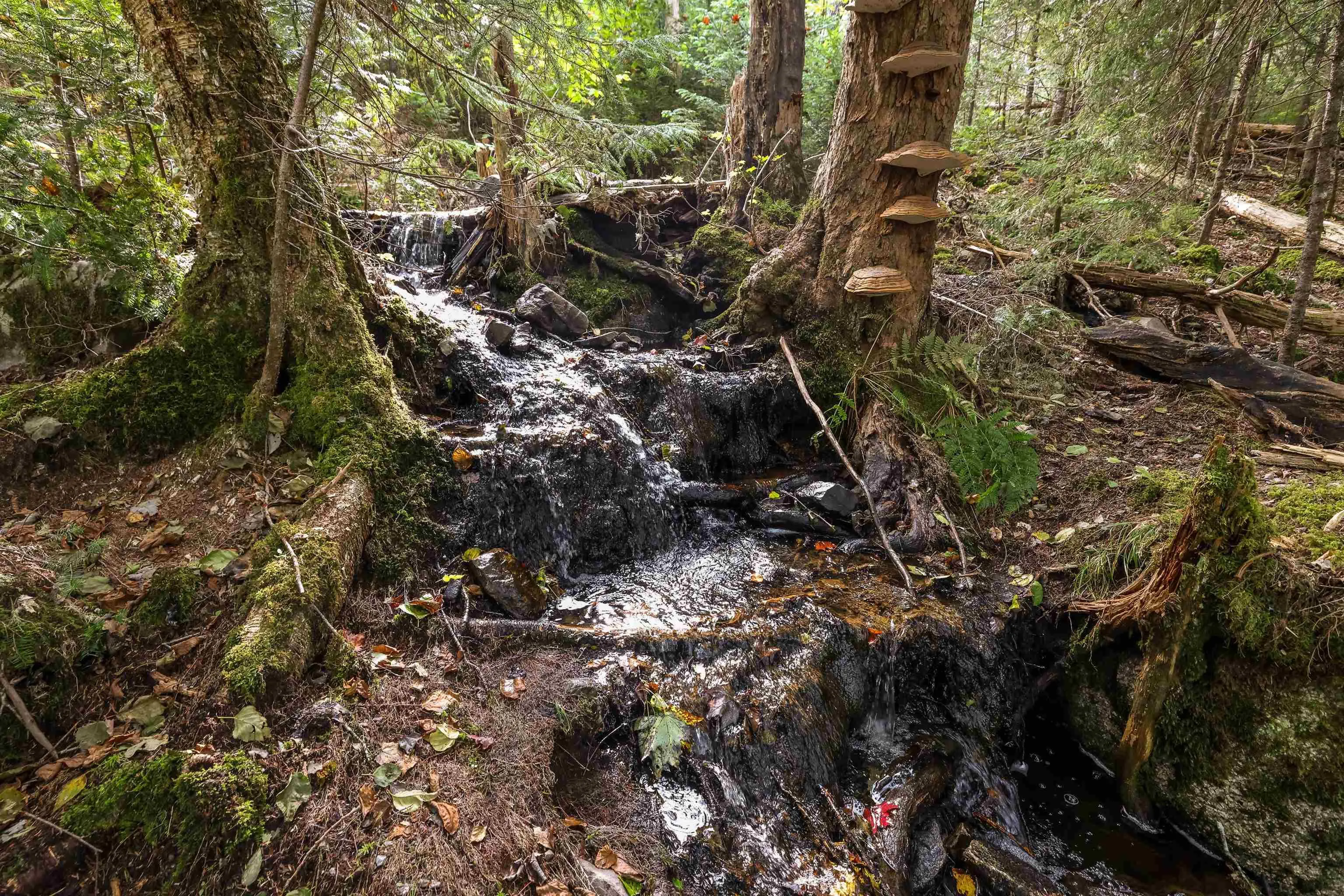 Stamping Mill Lane Lot 2, Beech Hill Ns B0j 1k0, ,Land,For Sale,Stamping Mill,202321084