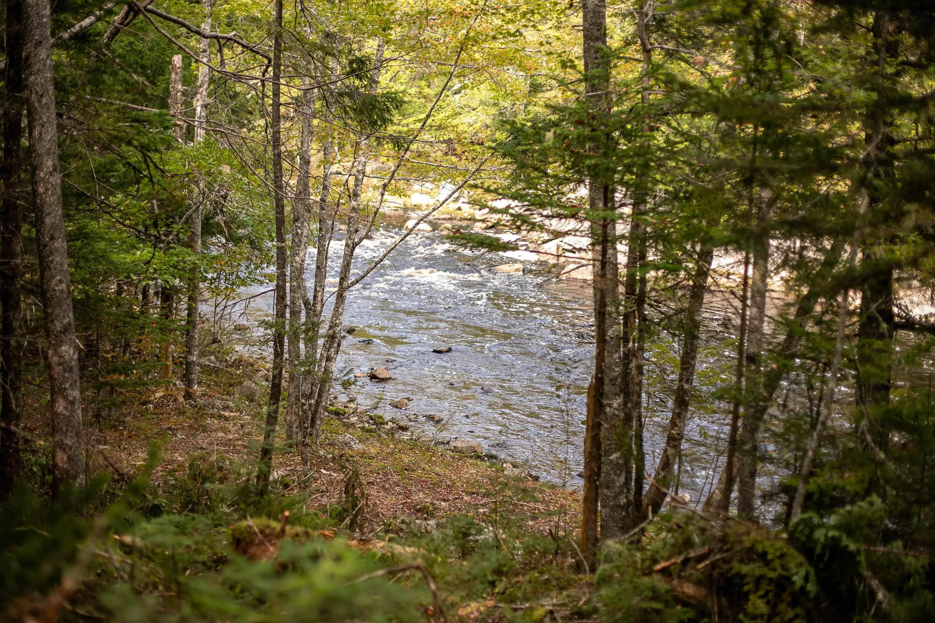Stamping Mill Lane Lot 2, Beech Hill Ns B0j 1k0, ,Land,For Sale,Stamping Mill,202321084