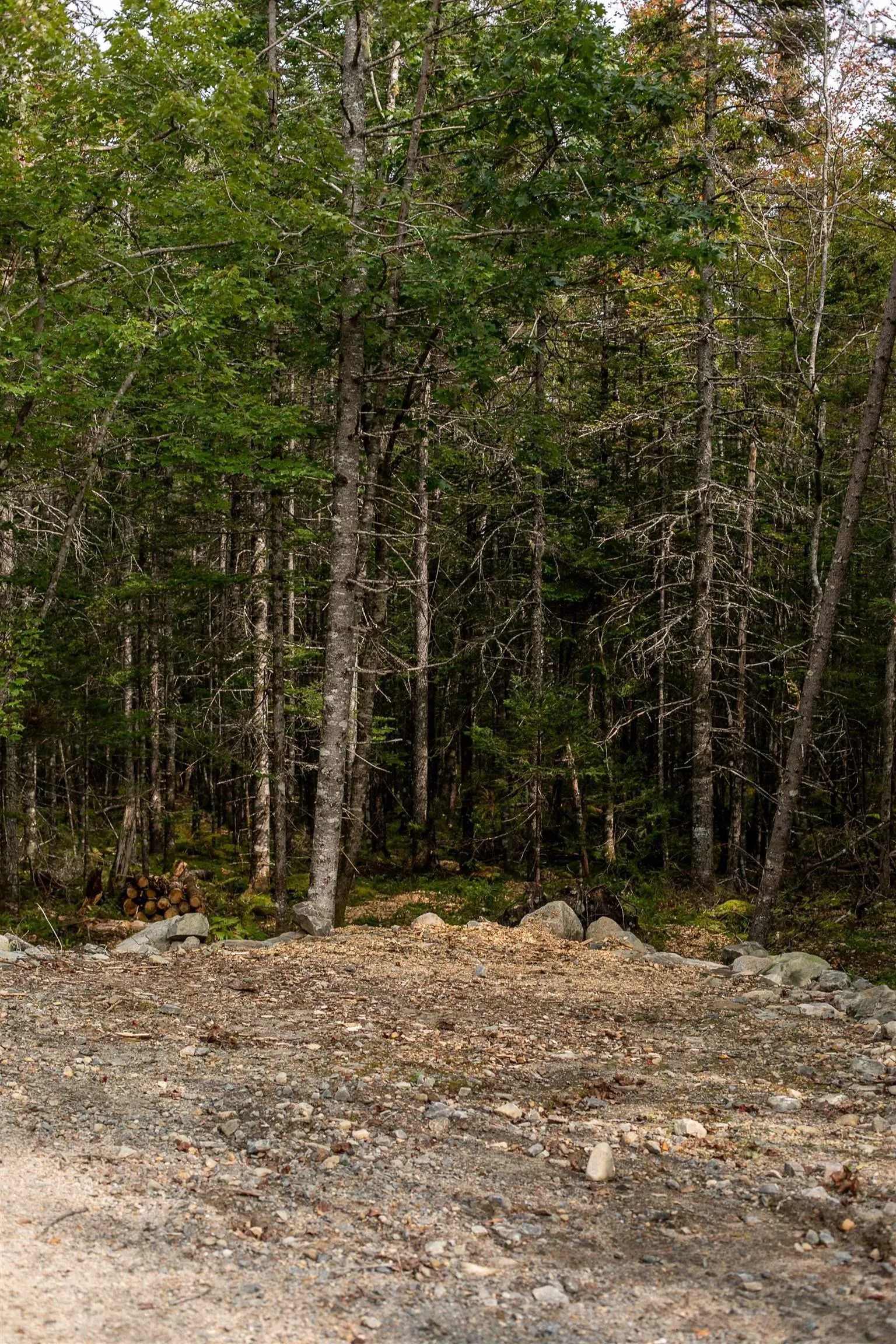 Stamping Mill Lane Lot 2, Beech Hill Ns B0j 1k0, ,Land,For Sale,Stamping Mill,202321084