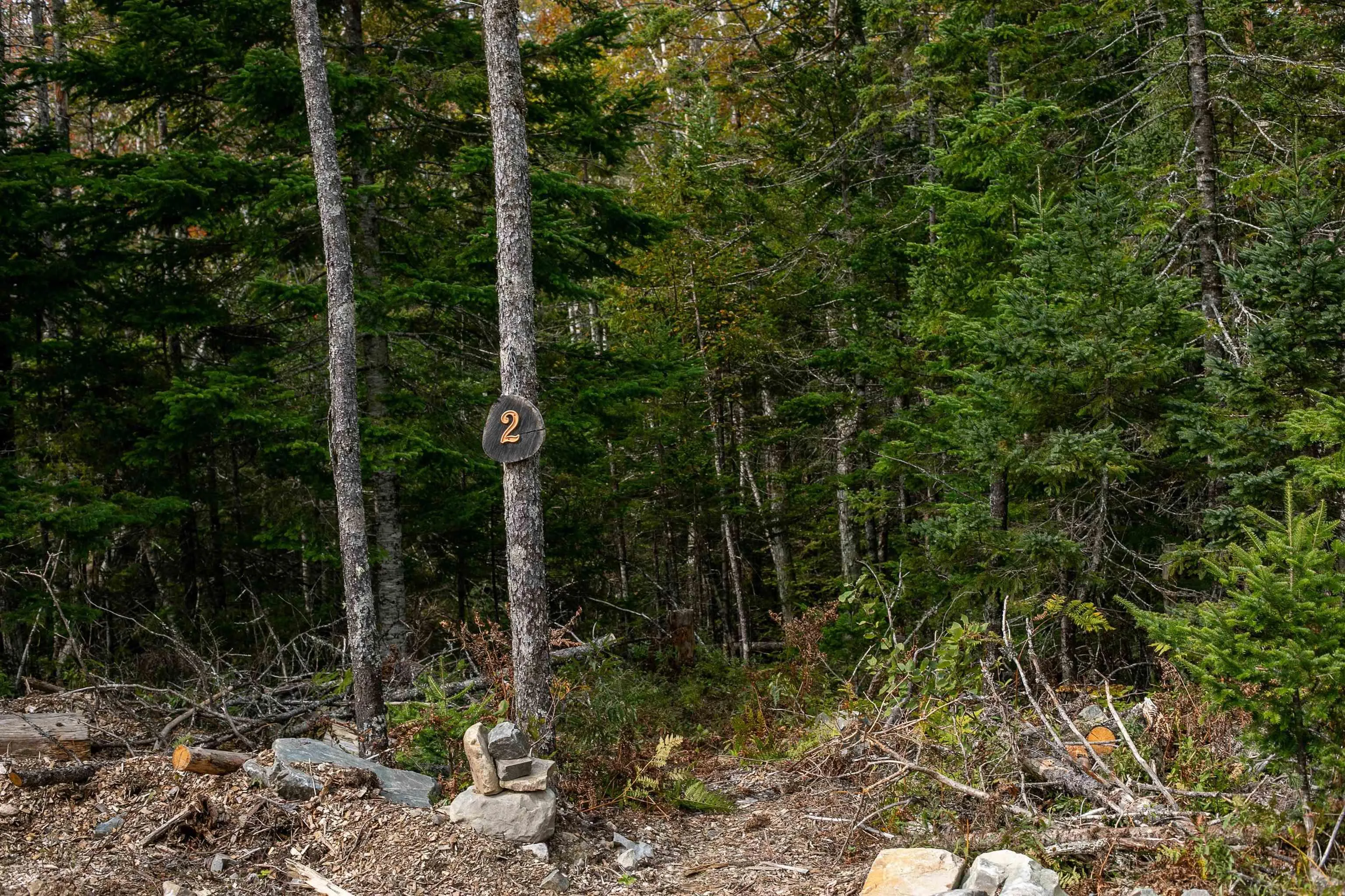 Stamping Mill Lane Lot 2, Beech Hill Ns B0j 1k0, ,Land,For Sale,Stamping Mill,202321084