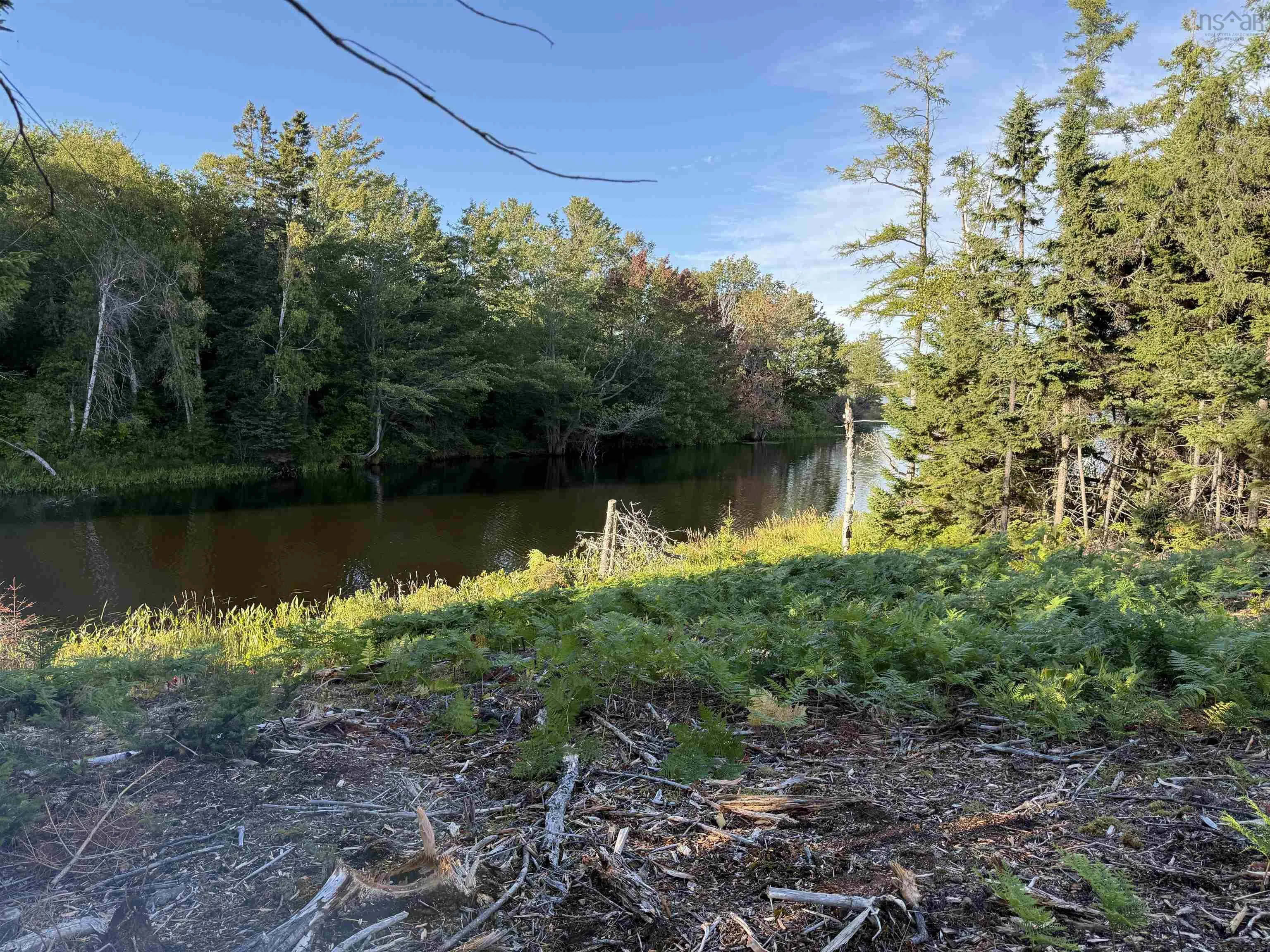 Lot 1a Pictou Landing Road, Chance Harbour, NS B0K 1X0, ,Land,For Sale,Pictou Landing,202521667