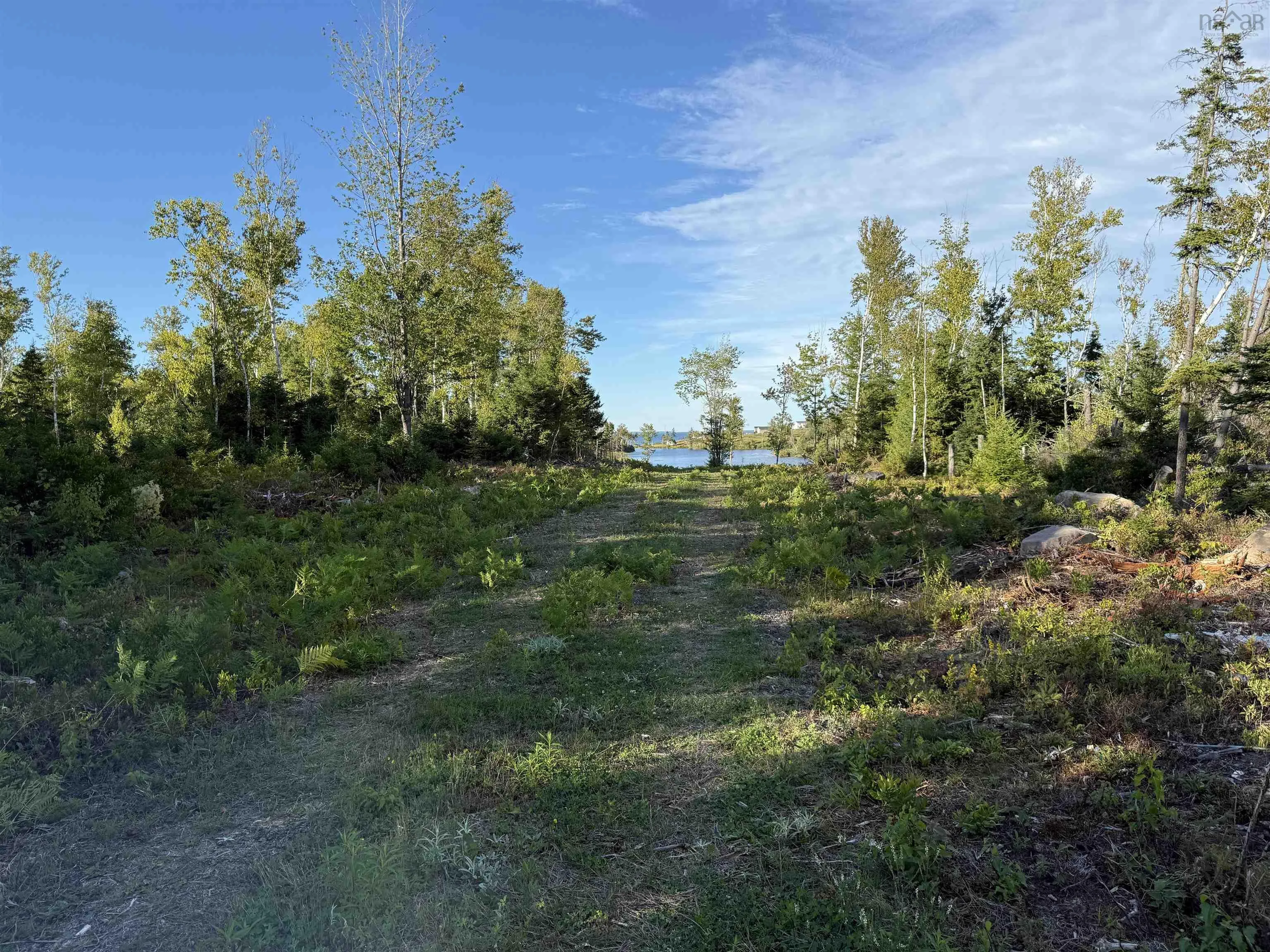 Lot 1a Pictou Landing Road, Chance Harbour, NS B0K 1X0, ,Land,For Sale,Pictou Landing,202521667
