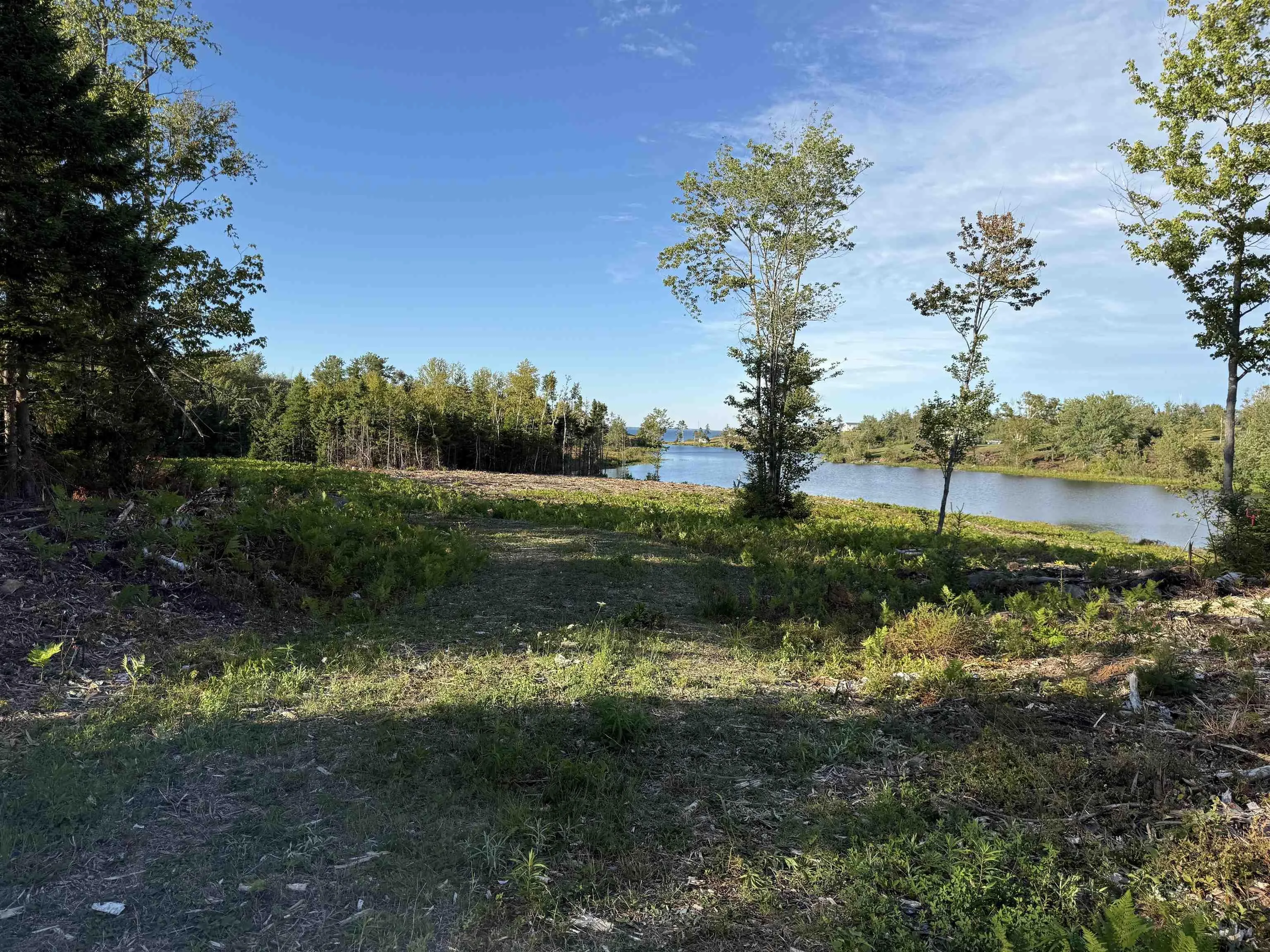 Lot 1a Pictou Landing Road, Chance Harbour, NS B0K 1X0, ,Land,For Sale,Pictou Landing,202521667
