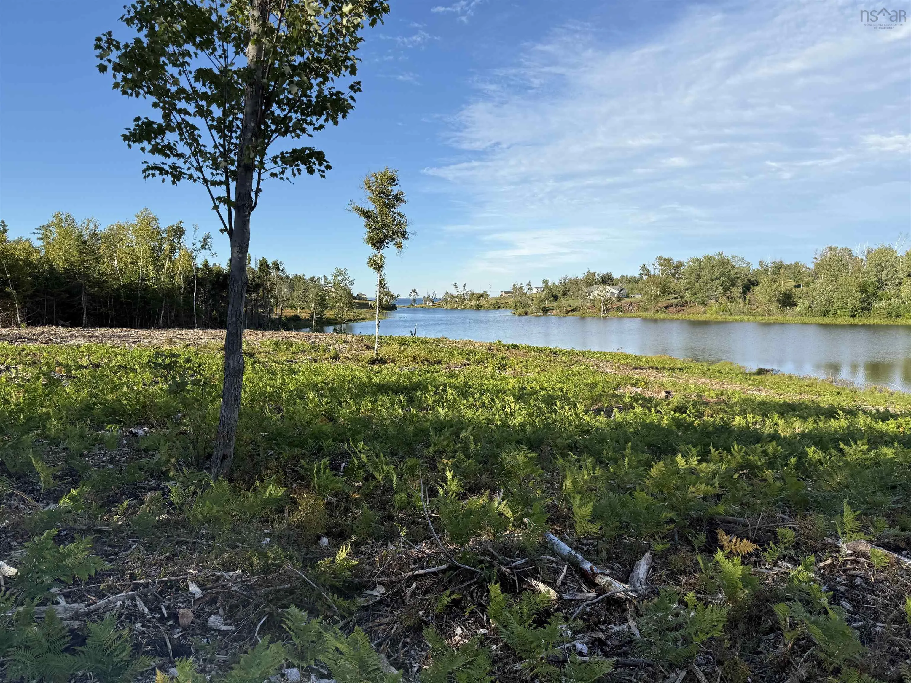 Lot 1a Pictou Landing Road, Chance Harbour, NS B0K 1X0, ,Land,For Sale,Pictou Landing,202521667