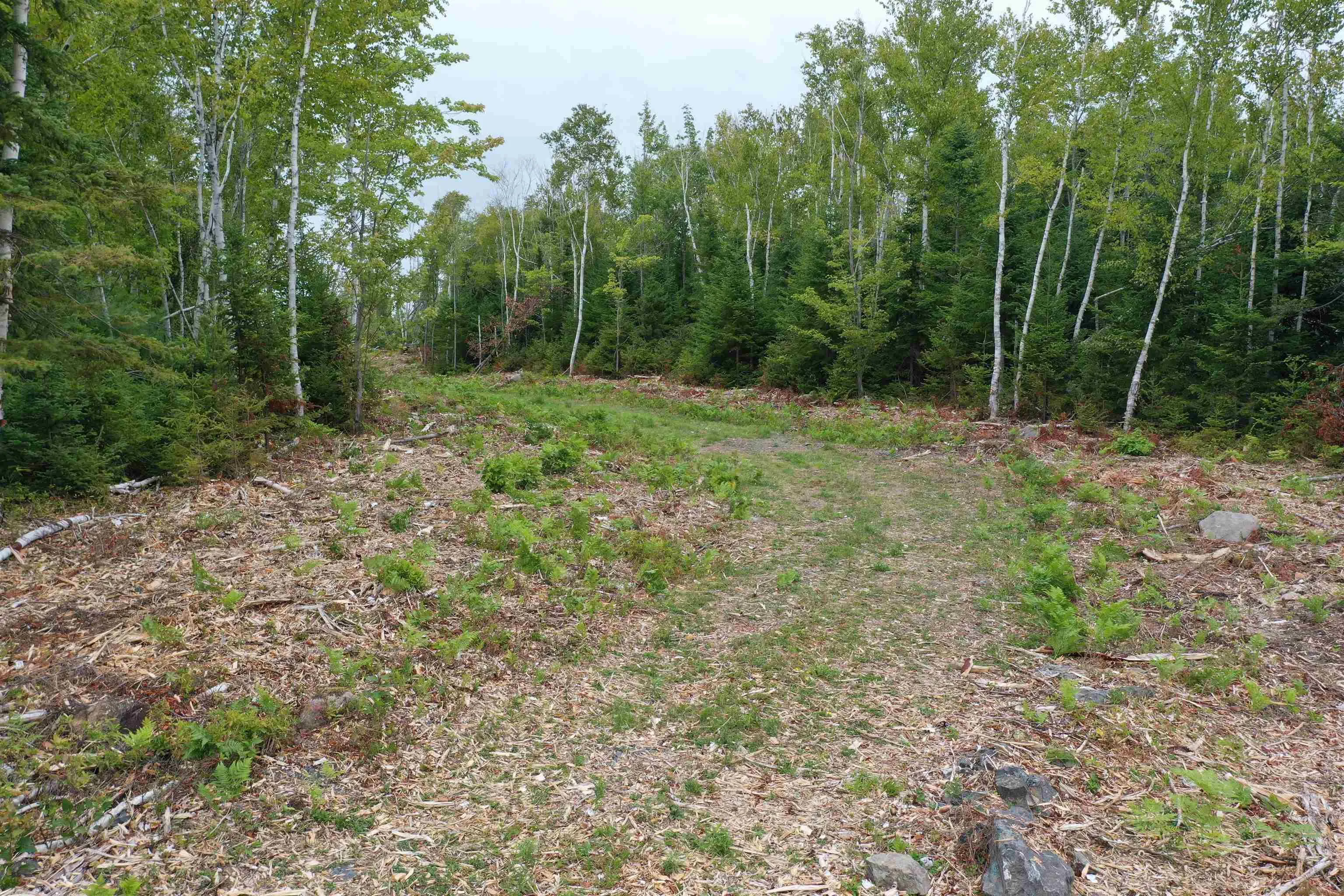 Lot 1a Pictou Landing Road, Chance Harbour, NS B0K 1X0, ,Land,For Sale,Pictou Landing,202521667