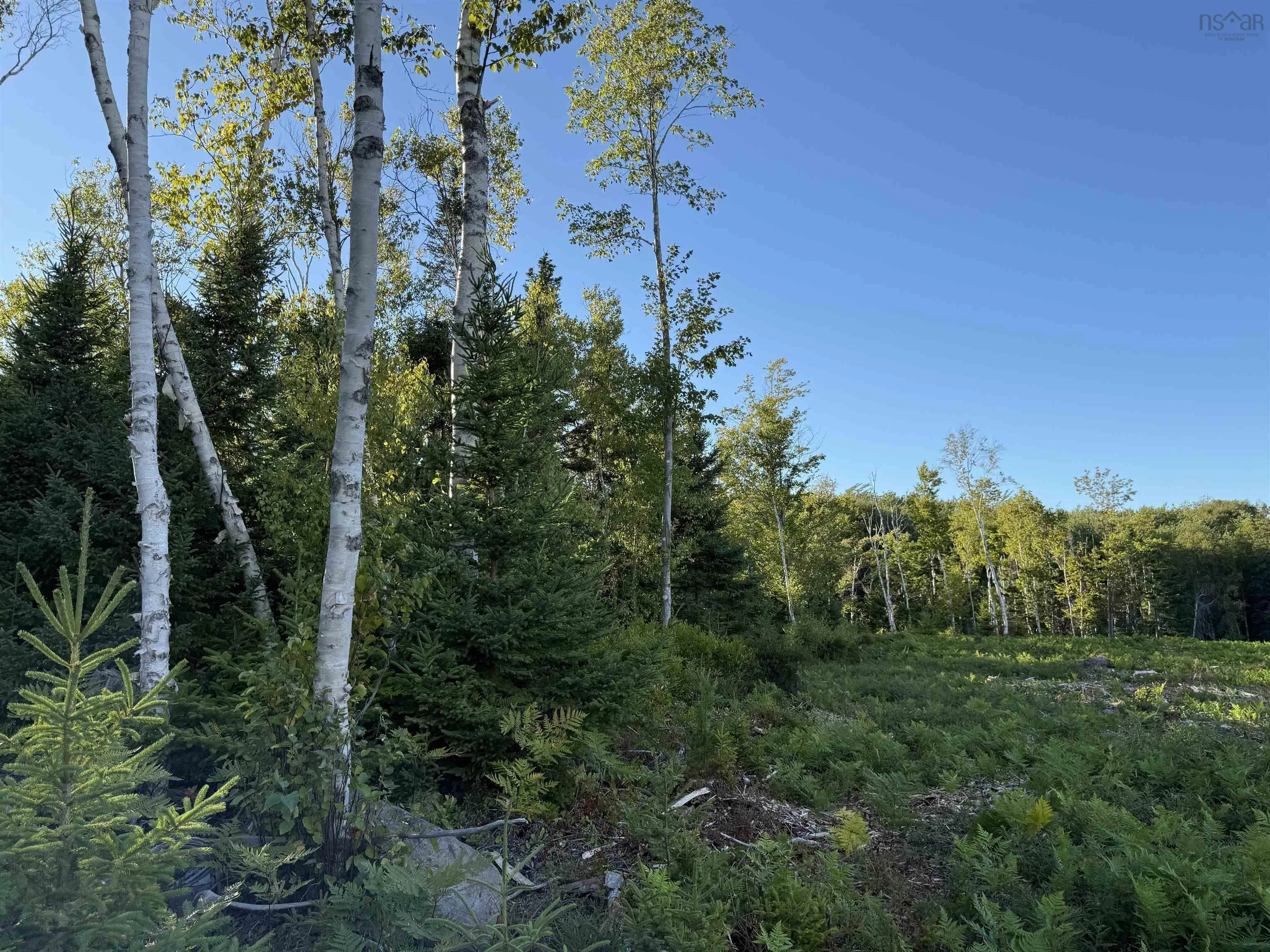 Lot 1a Pictou Landing Road, Chance Harbour, NS B0K 1X0, ,Land,For Sale,Pictou Landing,202521667