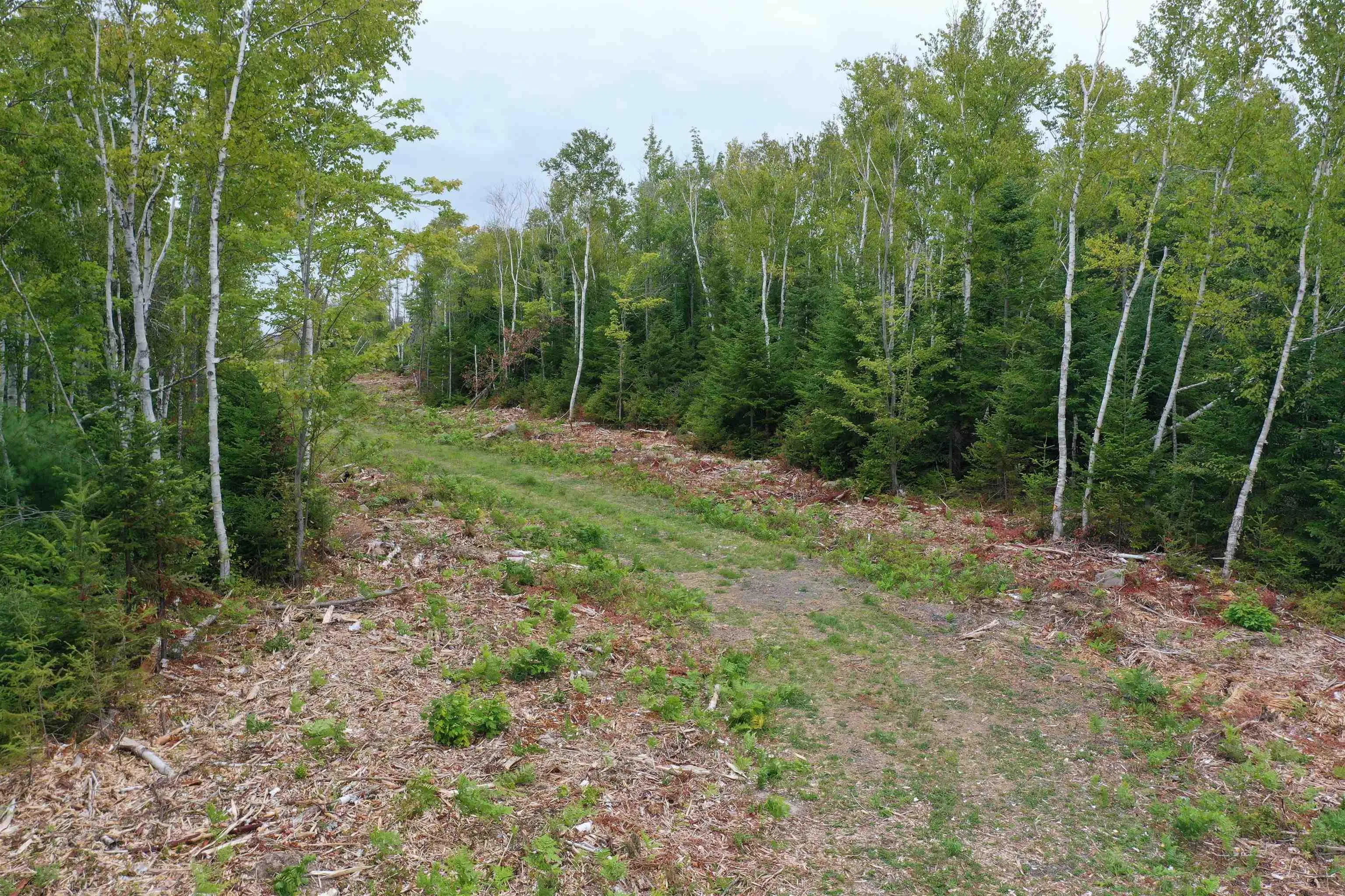 Lot 1a Pictou Landing Road, Chance Harbour, NS B0K 1X0, ,Land,For Sale,Pictou Landing,202521667
