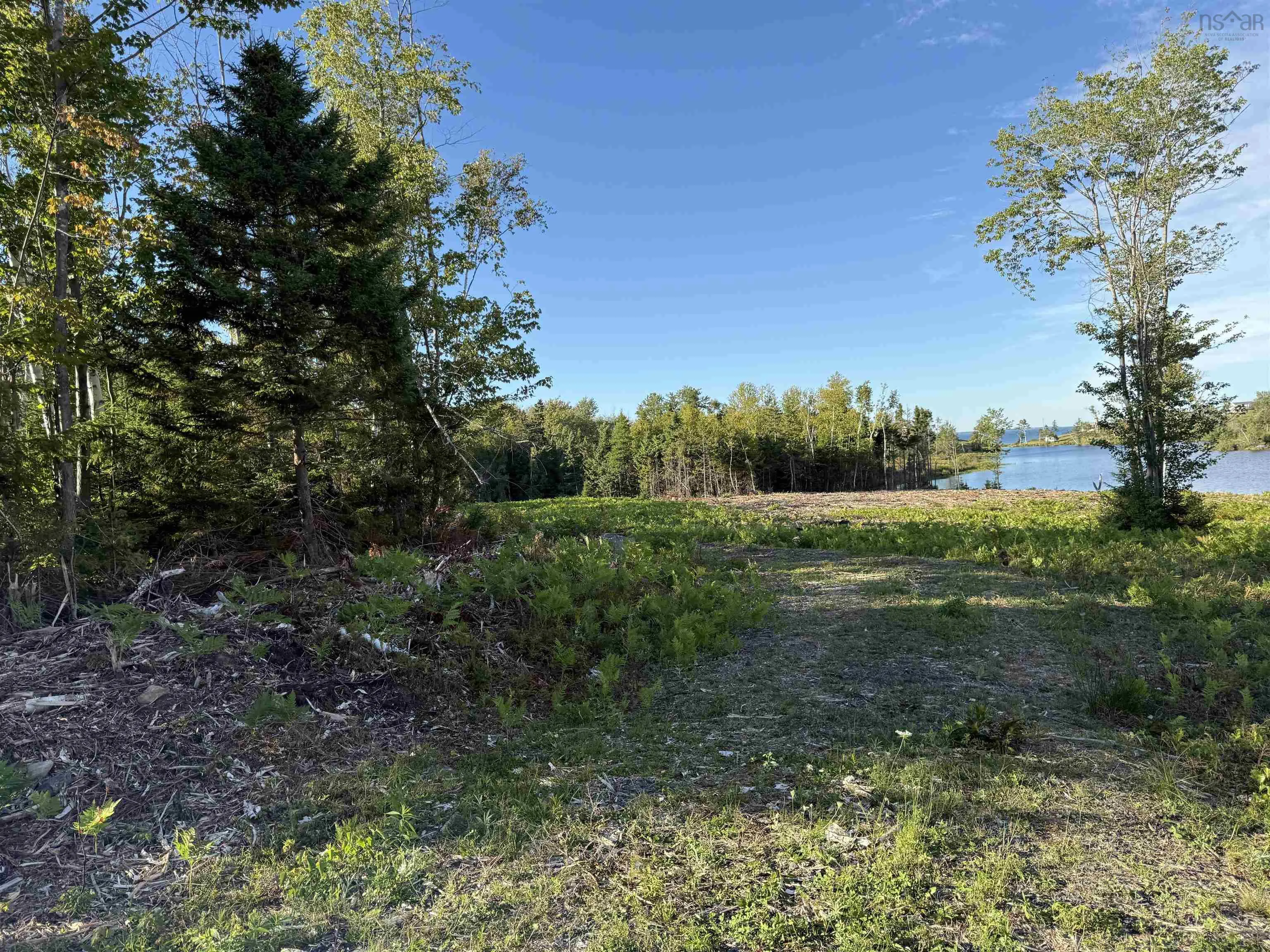 Lot 1a Pictou Landing Road, Chance Harbour, NS B0K 1X0, ,Land,For Sale,Pictou Landing,202521667