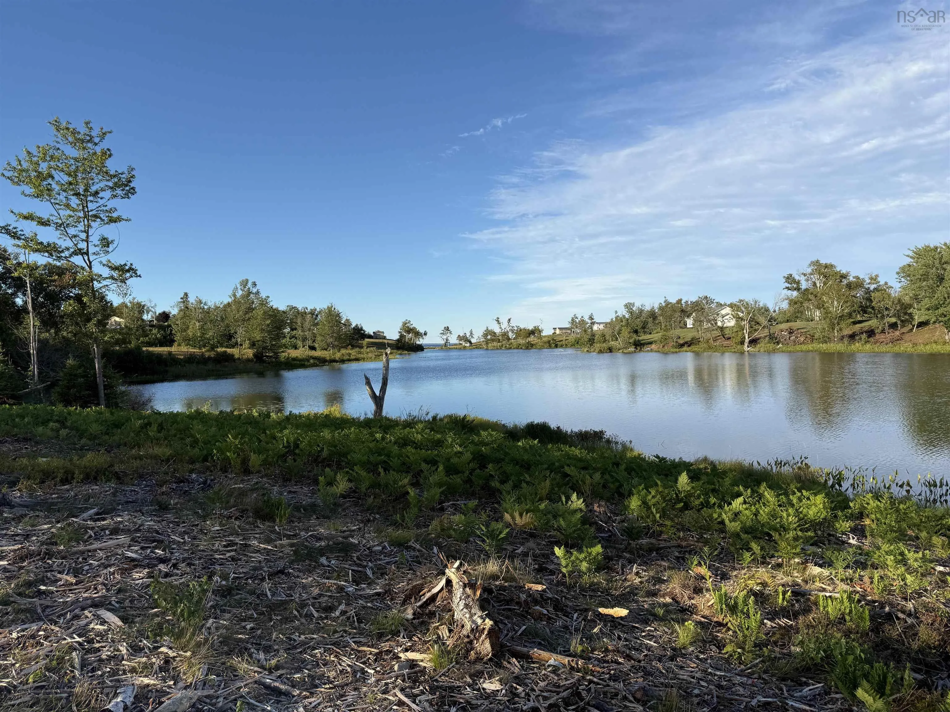 Lot 1a Pictou Landing Road, Chance Harbour, NS B0K 1X0, ,Land,For Sale,Pictou Landing,202521667