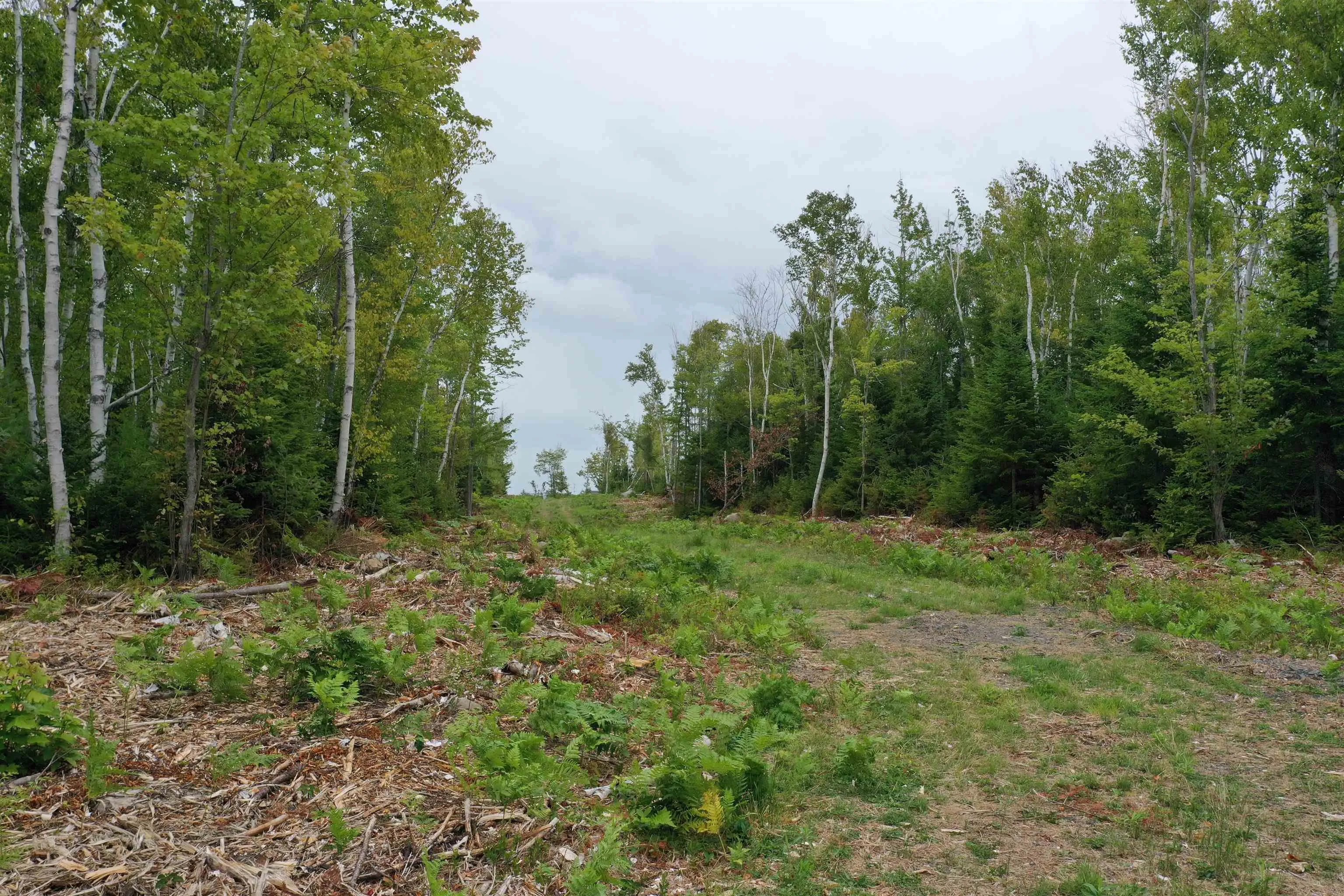 Lot 1a Pictou Landing Road, Chance Harbour, NS B0K 1X0, ,Land,For Sale,Pictou Landing,202521667
