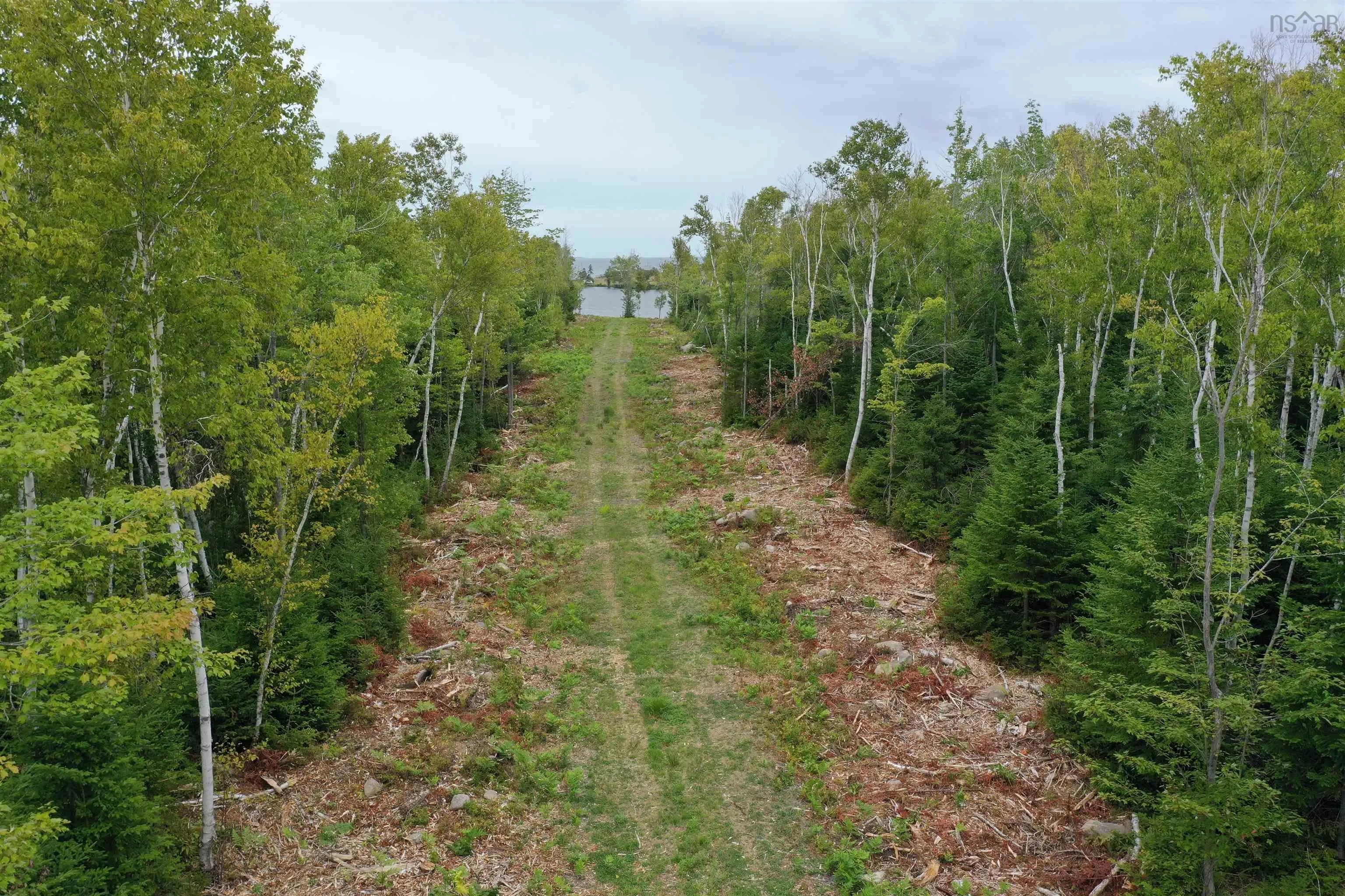 Lot 1a Pictou Landing Road, Chance Harbour, NS B0K 1X0, ,Land,For Sale,Pictou Landing,202521667