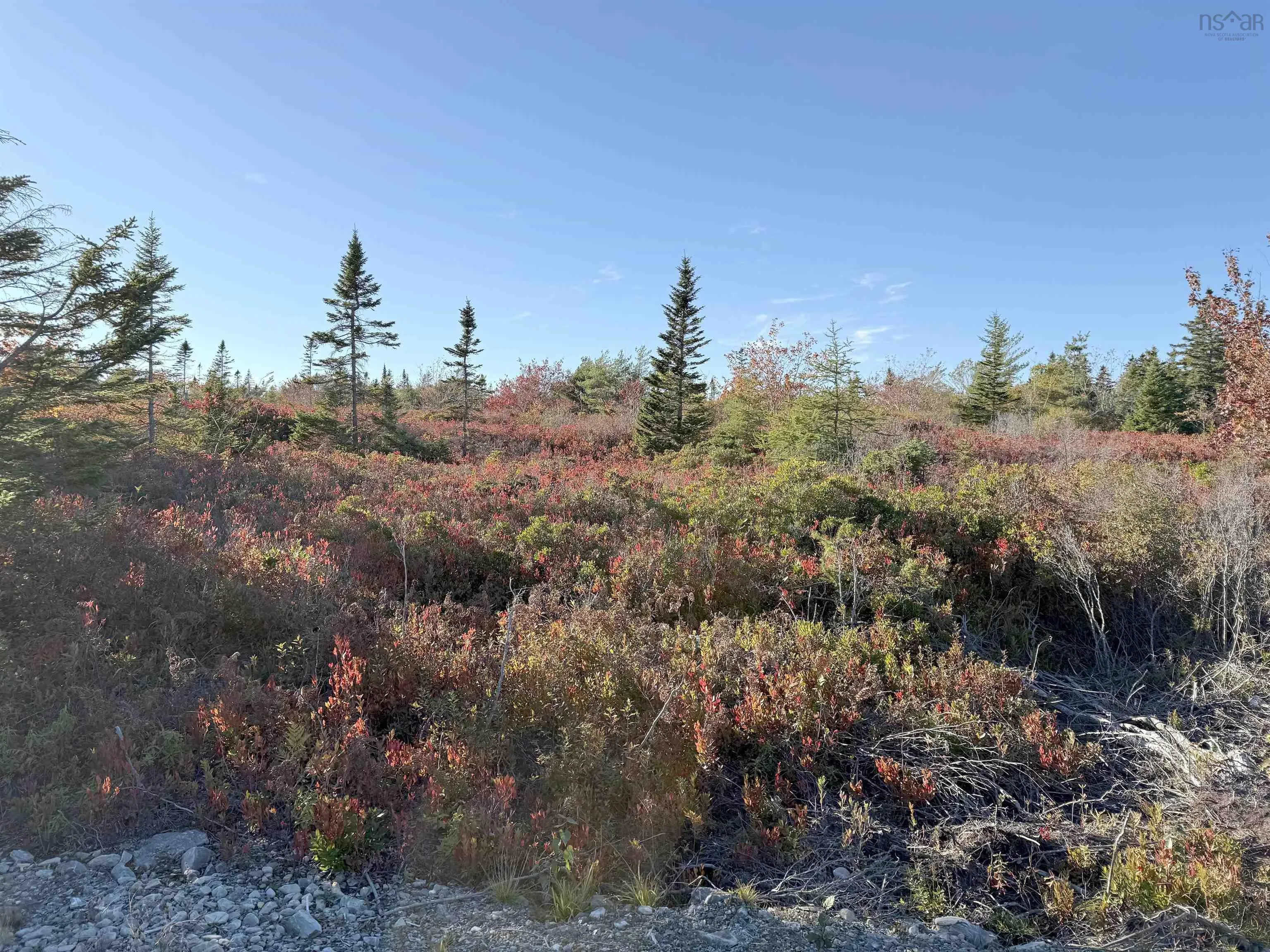 104-1 Long Cove Road, Port Medway, NS B0J 2T0, ,Land,For Sale,Long Cove,202525670
