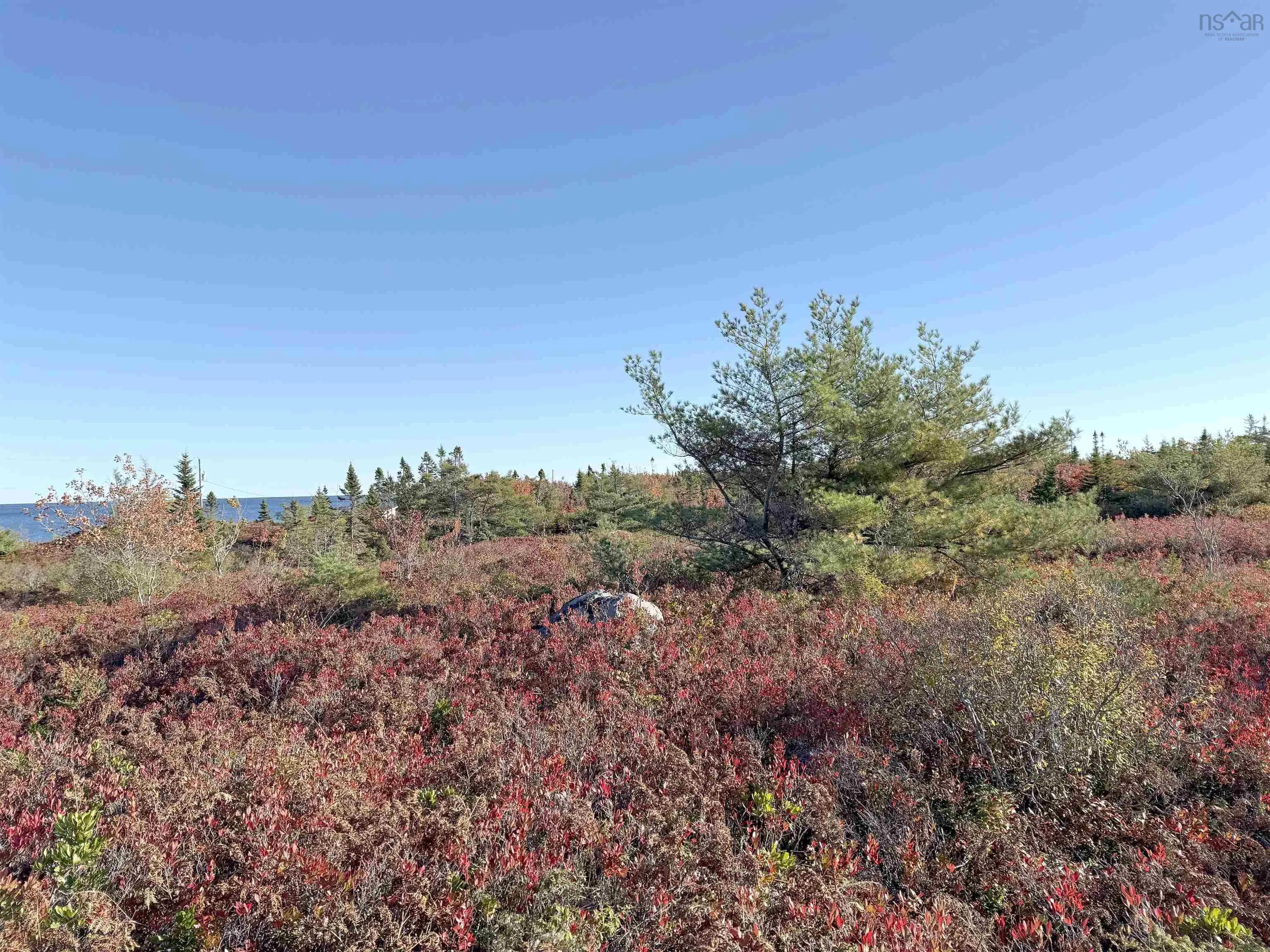 104-1 Long Cove Road, Port Medway, NS B0J 2T0, ,Land,For Sale,Long Cove,202525670
