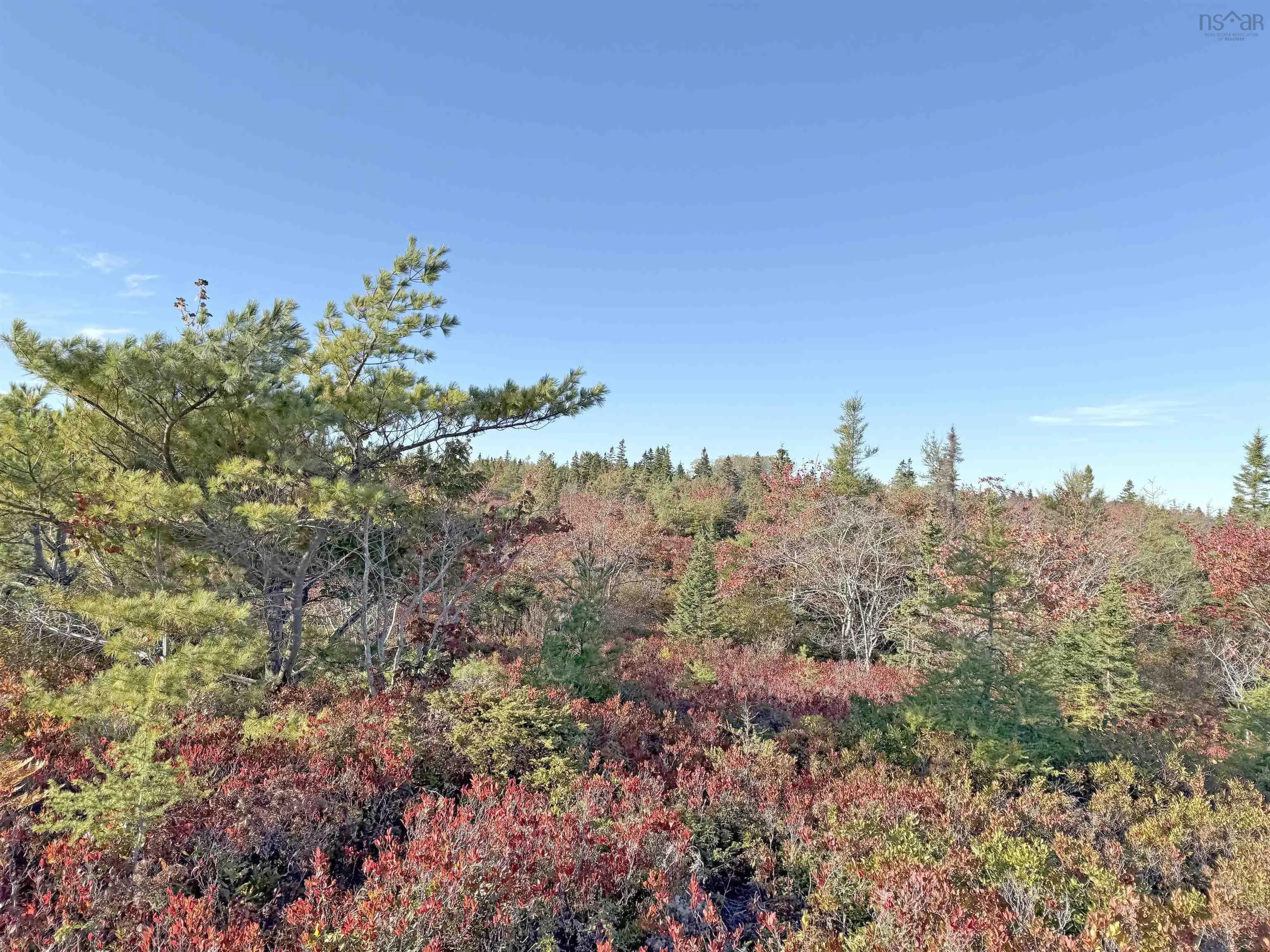 104-1 Long Cove Road, Port Medway, NS B0J 2T0, ,Land,For Sale,Long Cove,202525670