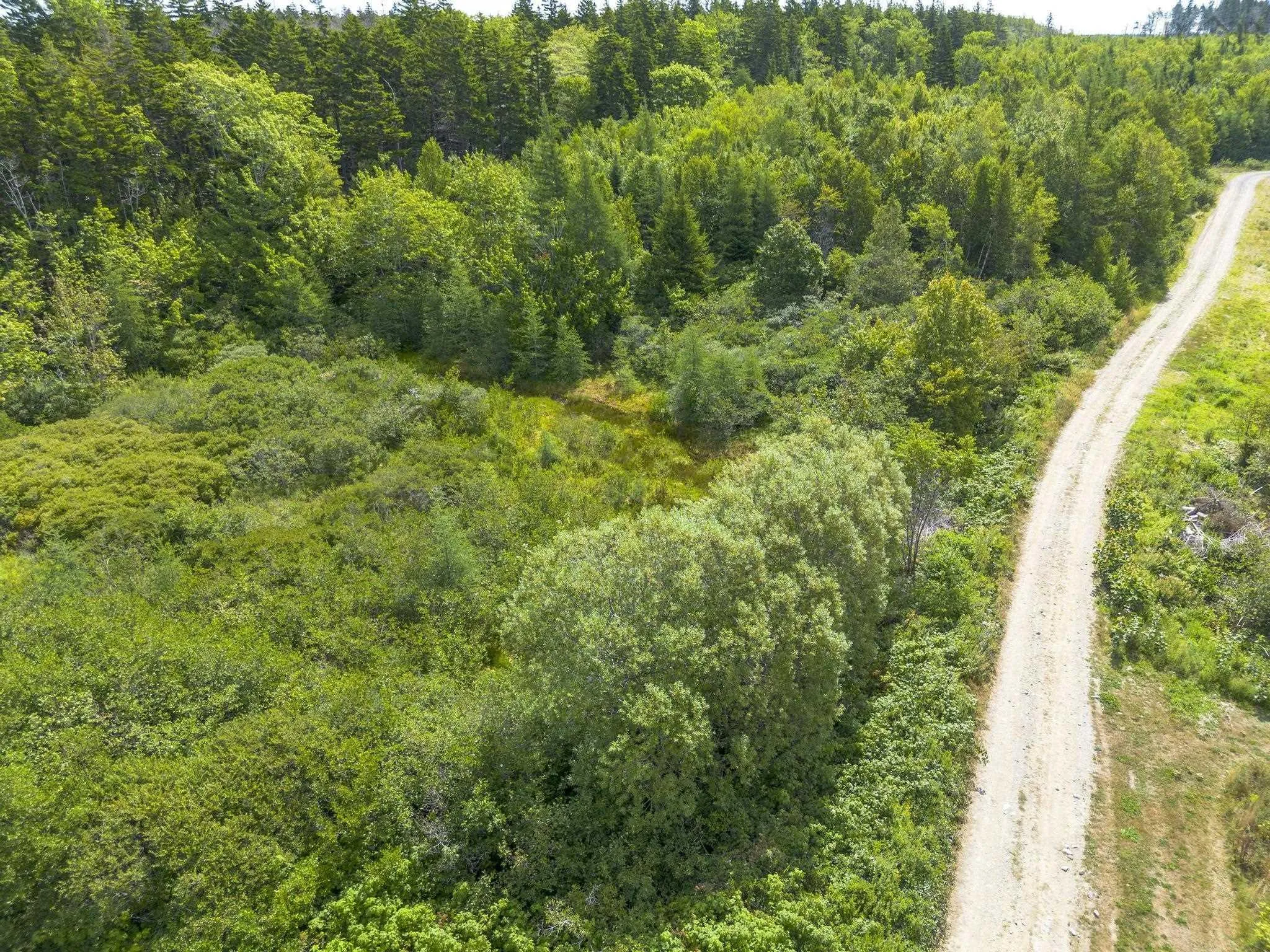 Oakridge Road, Church Point Ns B0w 2z0, ,Land,For Sale,Oakridge,202506386