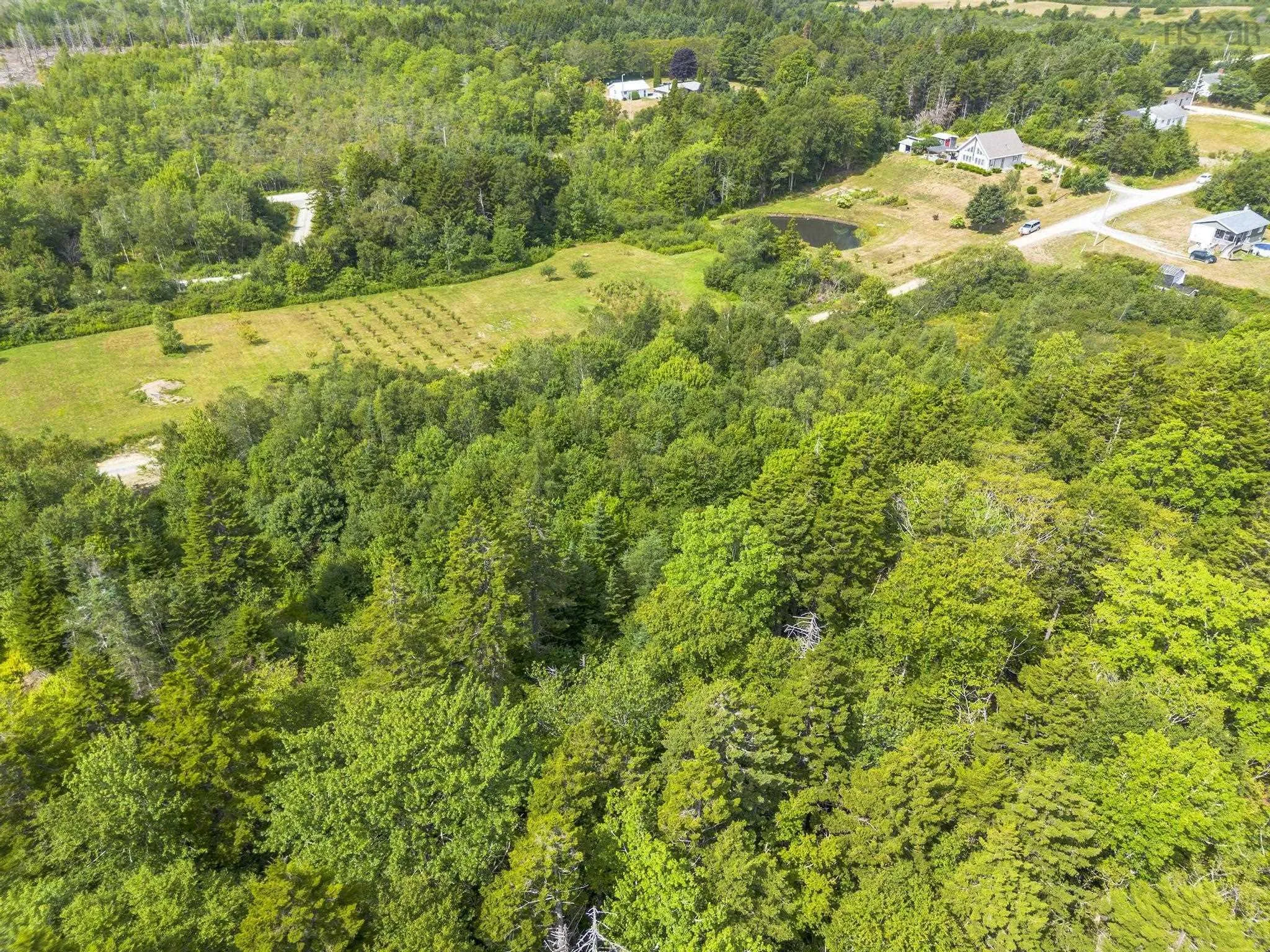 Oakridge Road, Church Point Ns B0w 2z0, ,Land,For Sale,Oakridge,202506386
