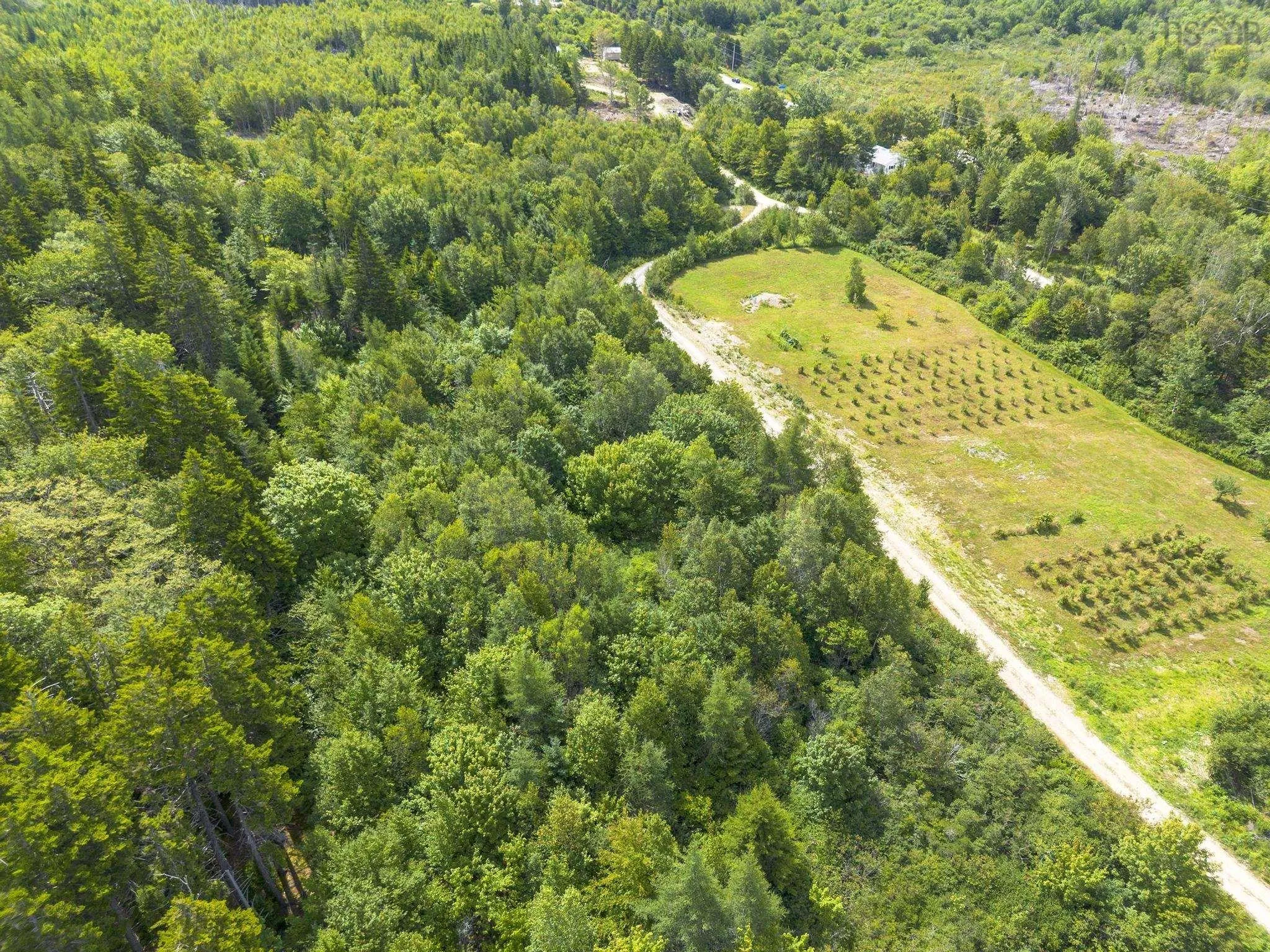 Oakridge Road, Church Point Ns B0w 2z0, ,Land,For Sale,Oakridge,202506386