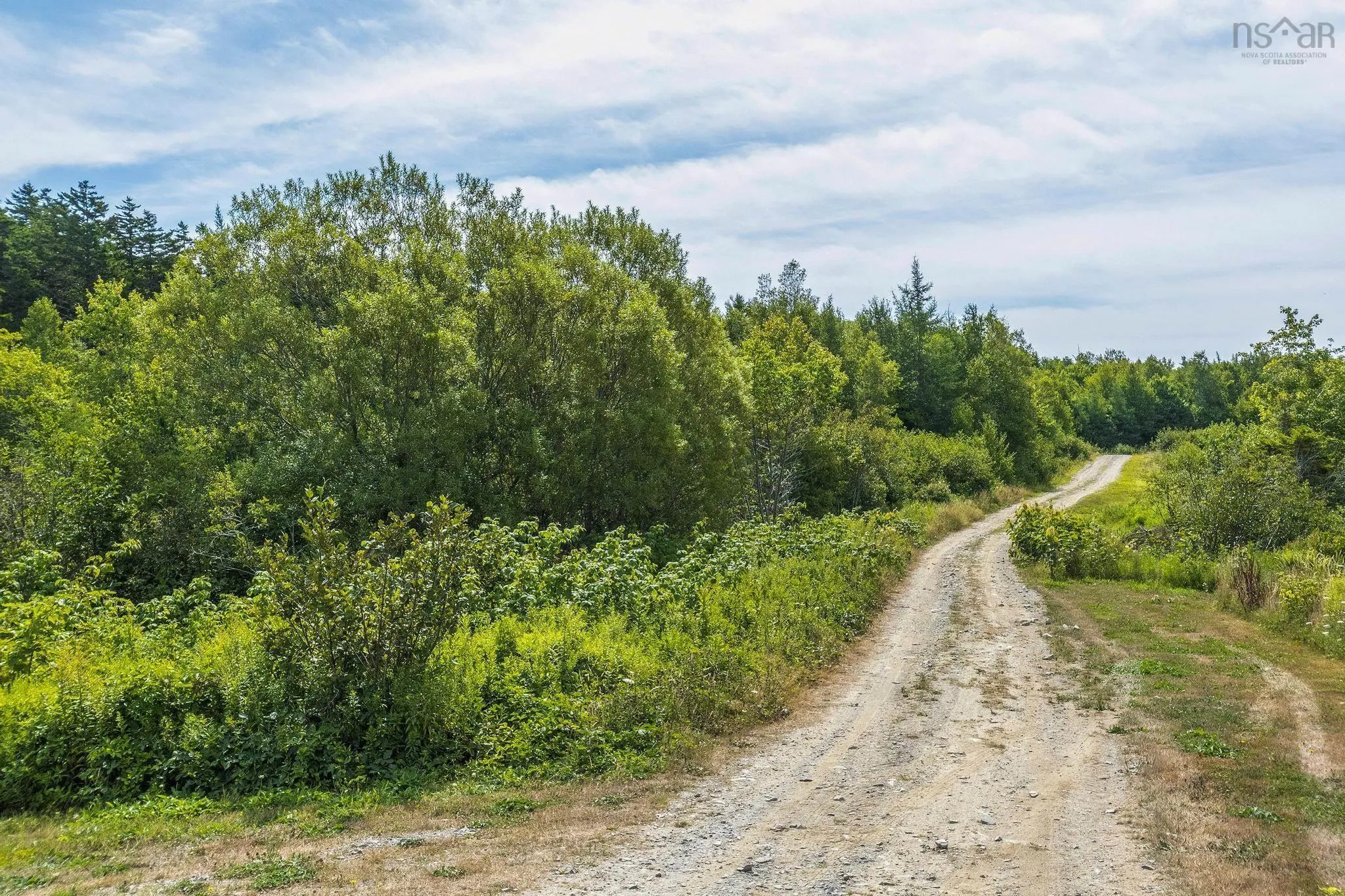 Oakridge Road, Church Point Ns B0w 2z0, ,Land,For Sale,Oakridge,202506386