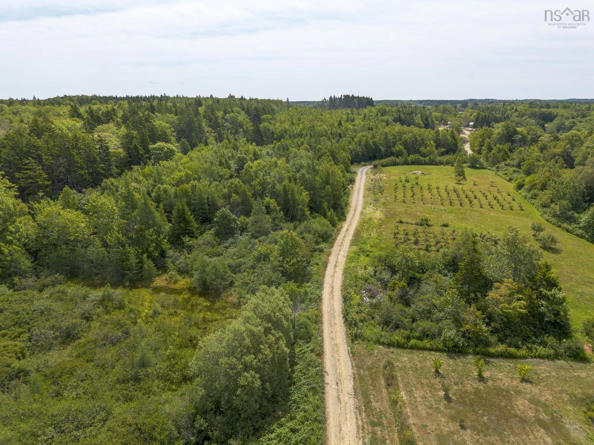 Oakridge Road, Church Point Ns B0w 2z0, ,Land,For Sale,Oakridge,202506386