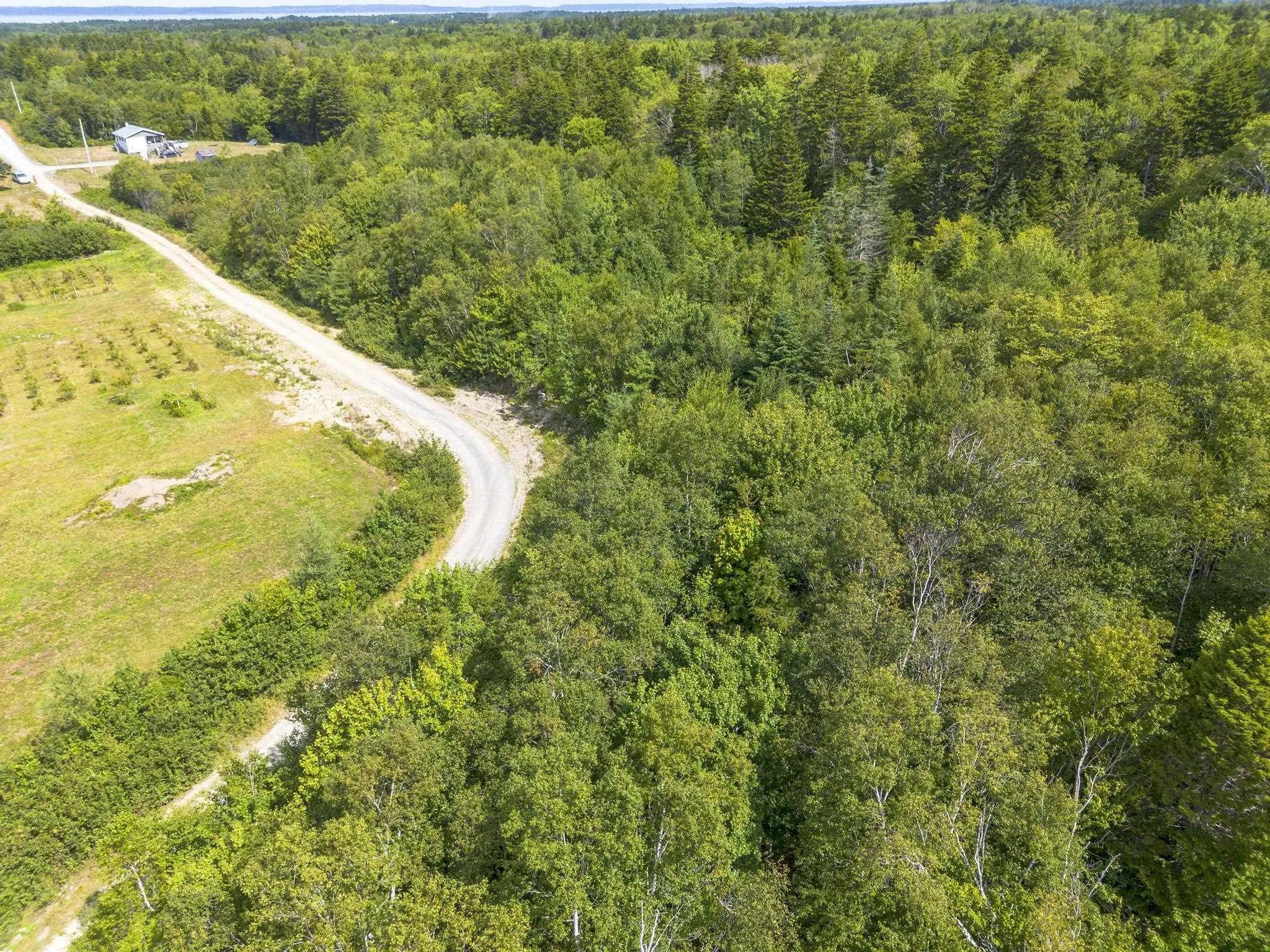Oakridge Road, Church Point Ns B0w 2z0, ,Land,For Sale,Oakridge,202506386