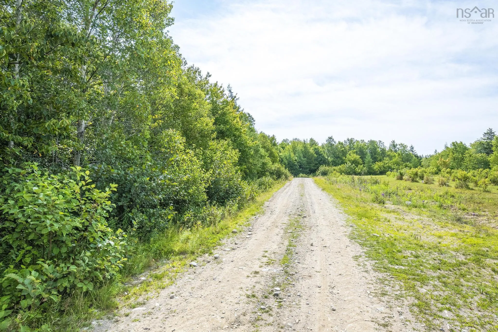 Oakridge Road, Church Point Ns B0w 2z0, ,Land,For Sale,Oakridge,202506386