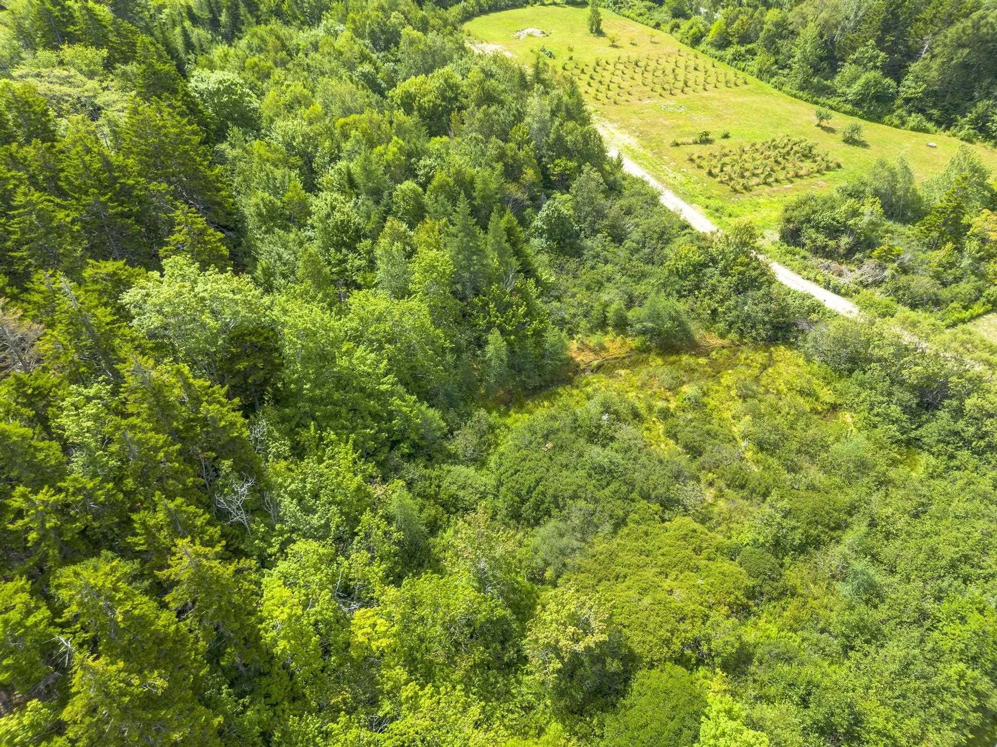 Oakridge Road, Church Point Ns B0w 2z0, ,Land,For Sale,Oakridge,202506386