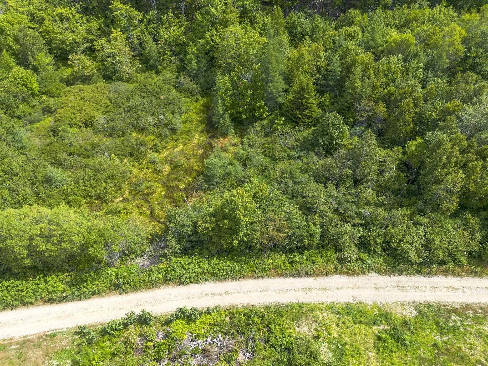 Oakridge Road, Church Point Ns B0w 2z0, ,Land,For Sale,Oakridge,202506386