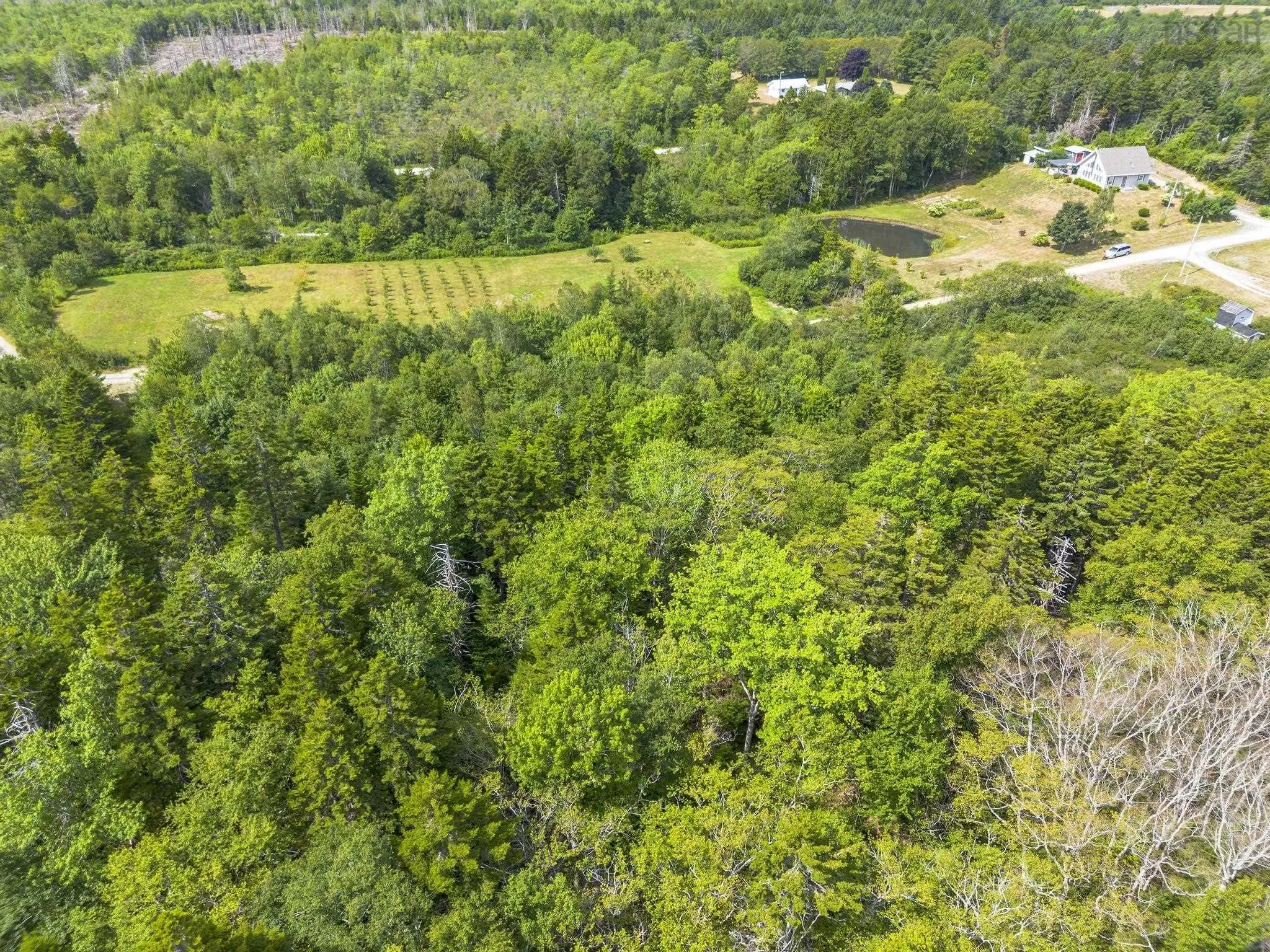 Oakridge Road, Church Point Ns B0w 2z0, ,Land,For Sale,Oakridge,202506386