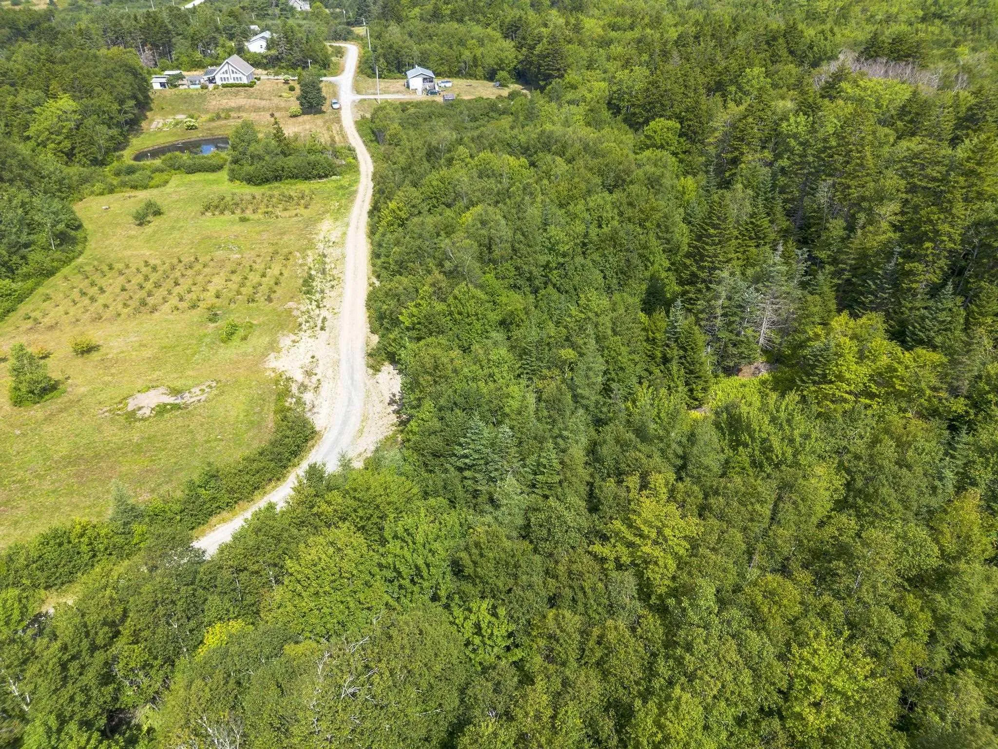 Oakridge Road, Church Point Ns B0w 2z0, ,Land,For Sale,Oakridge,202506386