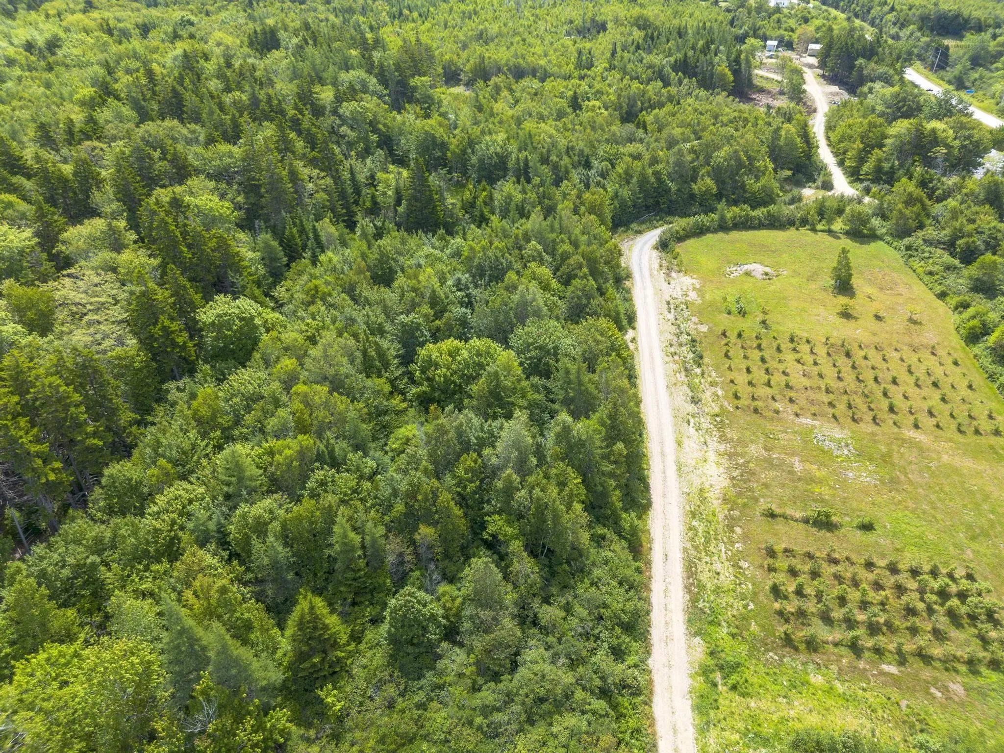 Oakridge Road, Church Point Ns B0w 2z0, ,Land,For Sale,Oakridge,202506386