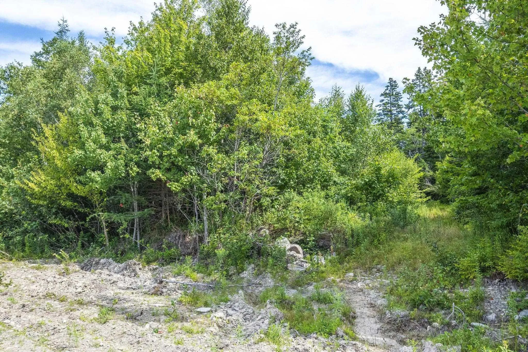 Oakridge Road, Church Point Ns B0w 2z0, ,Land,For Sale,Oakridge,202506386