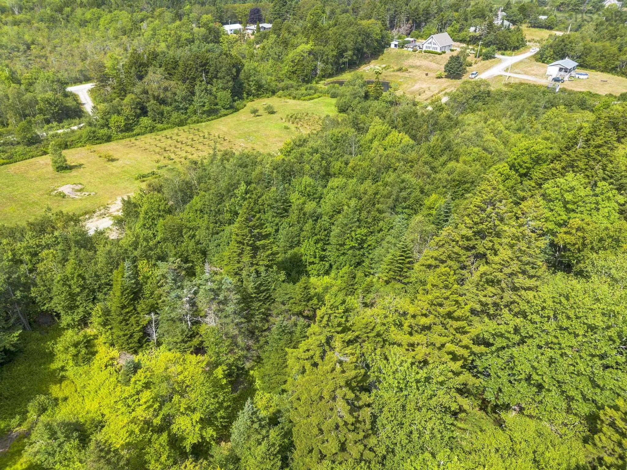 Oakridge Road, Church Point Ns B0w 2z0, ,Land,For Sale,Oakridge,202506386