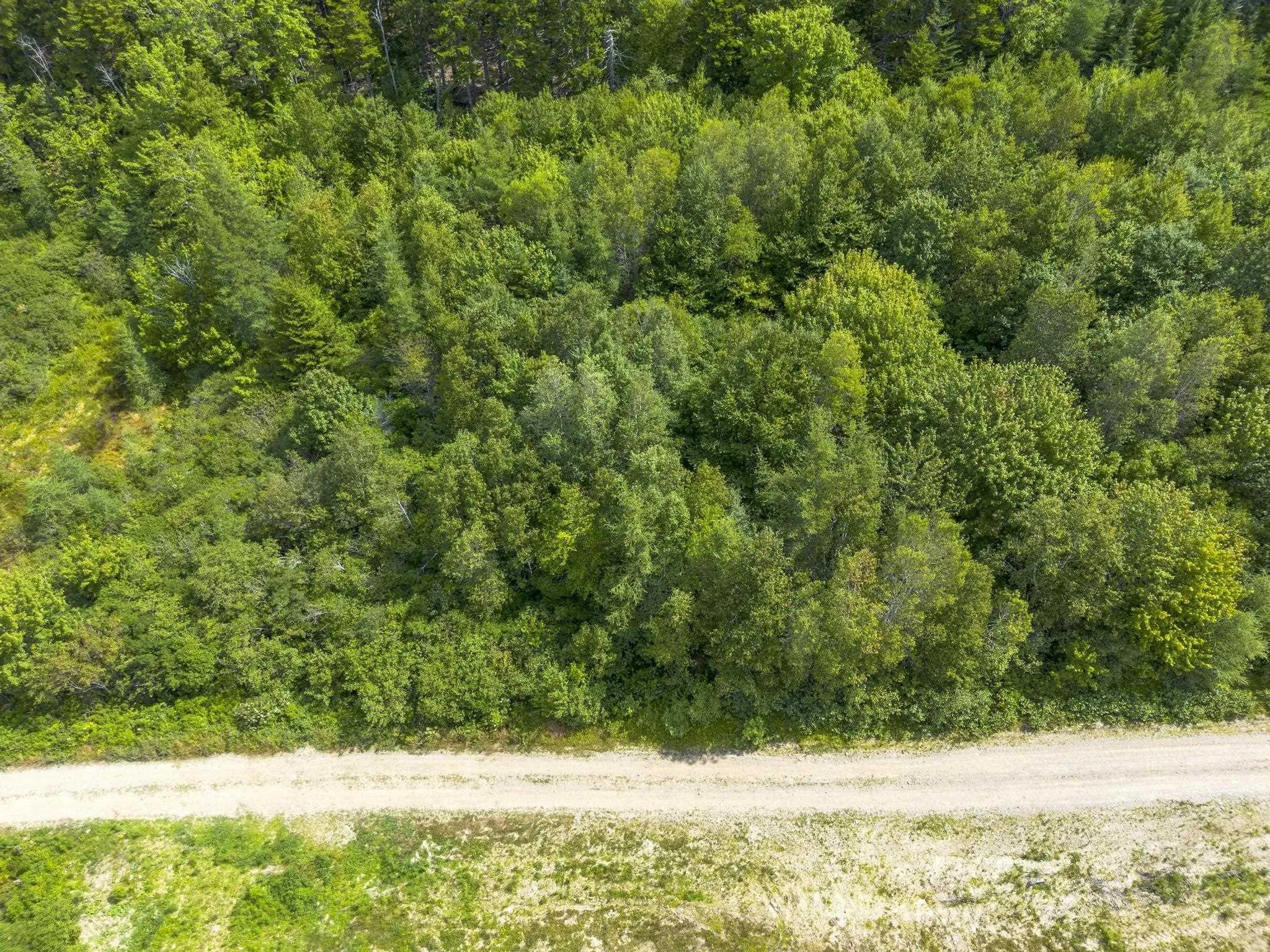 Oakridge Road, Church Point Ns B0w 2z0, ,Land,For Sale,Oakridge,202506386