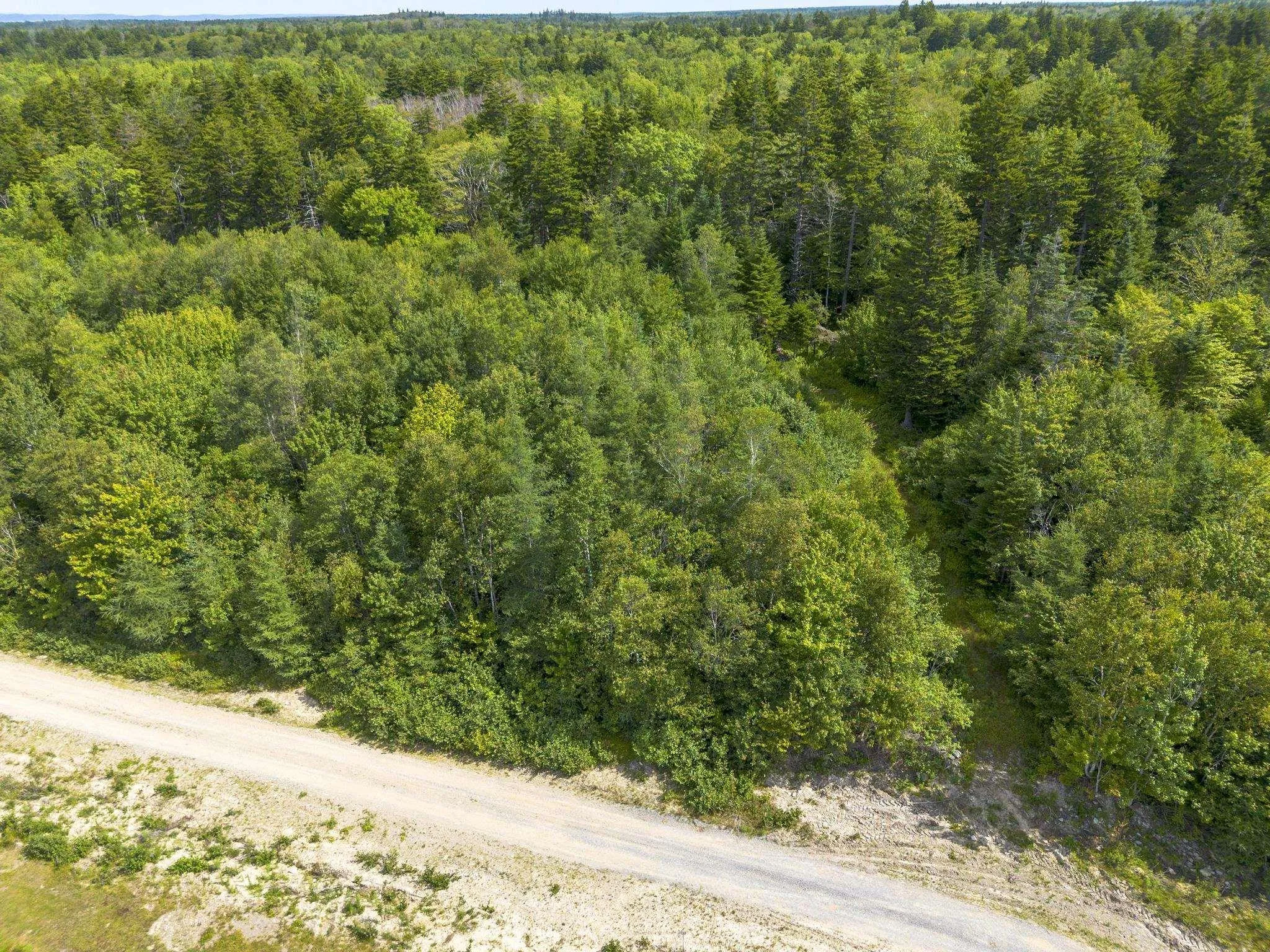 Oakridge Road, Church Point Ns B0w 2z0, ,Land,For Sale,Oakridge,202506386