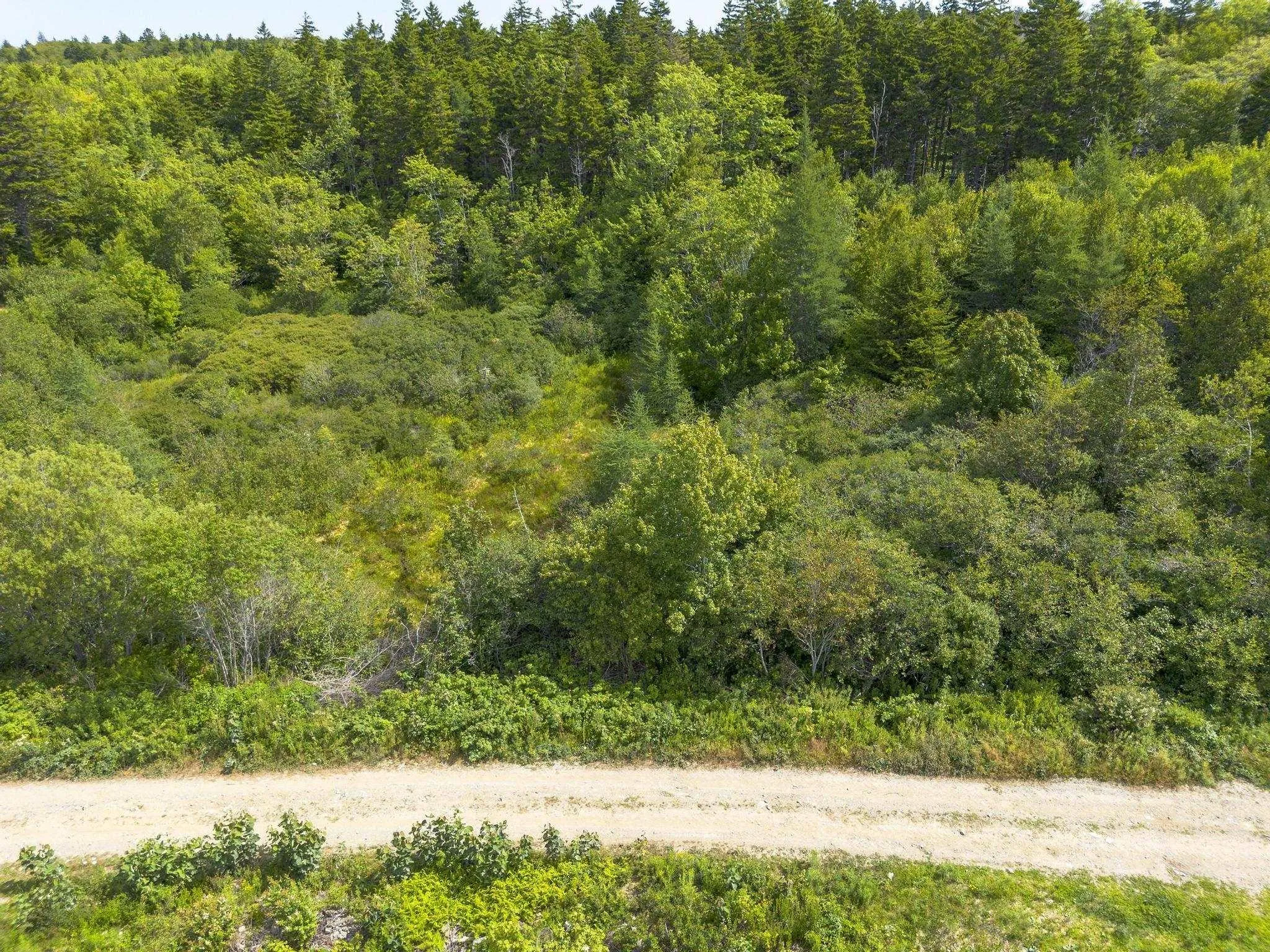 Oakridge Road, Church Point Ns B0w 2z0, ,Land,For Sale,Oakridge,202506386