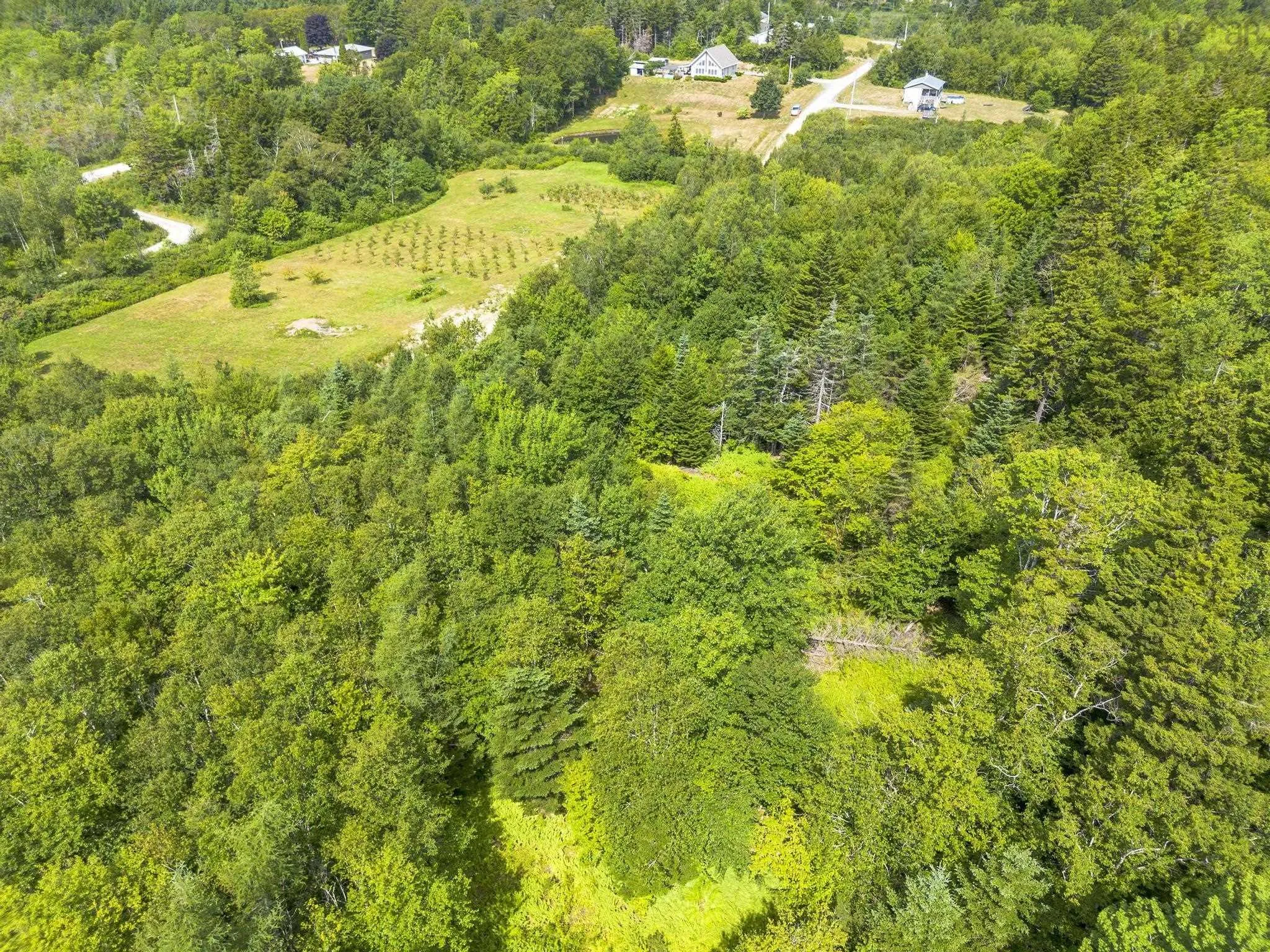 Oakridge Road, Church Point Ns B0w 2z0, ,Land,For Sale,Oakridge,202506386