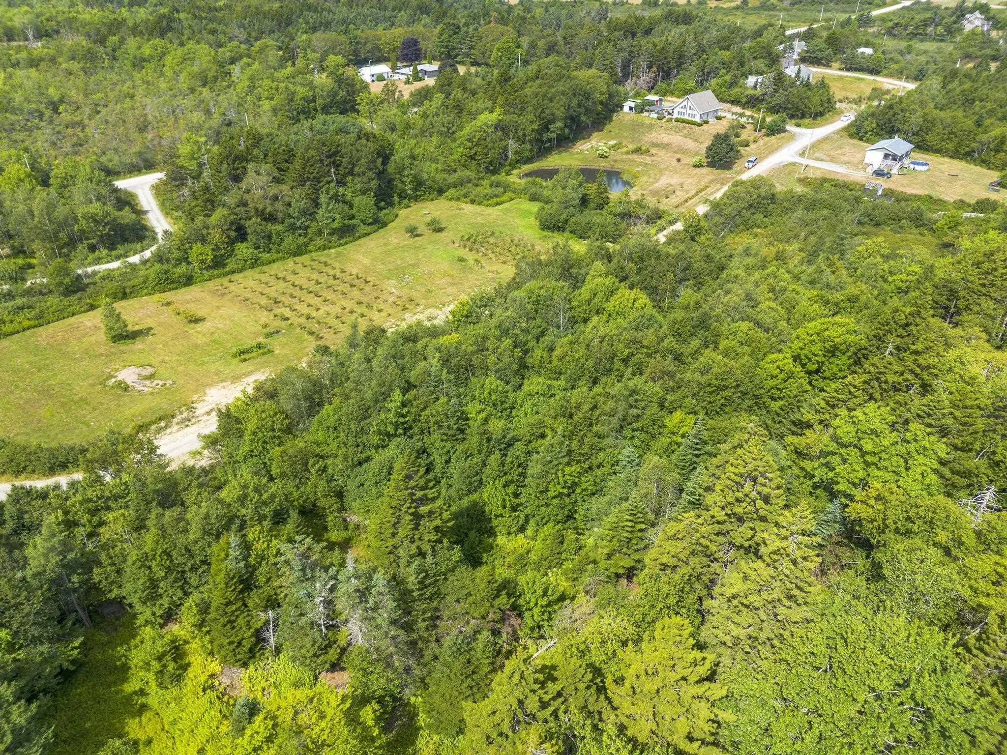 Oakridge Road, Church Point Ns B0w 2z0, ,Land,For Sale,Oakridge,202506386