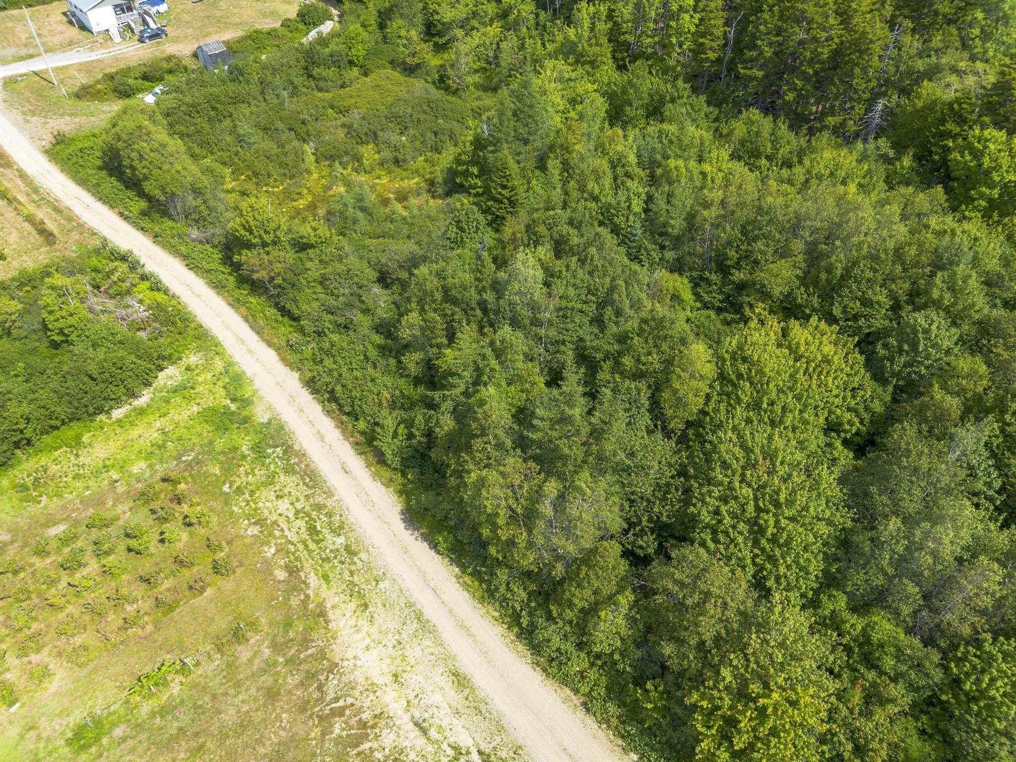 Oakridge Road, Church Point Ns B0w 2z0, ,Land,For Sale,Oakridge,202506386