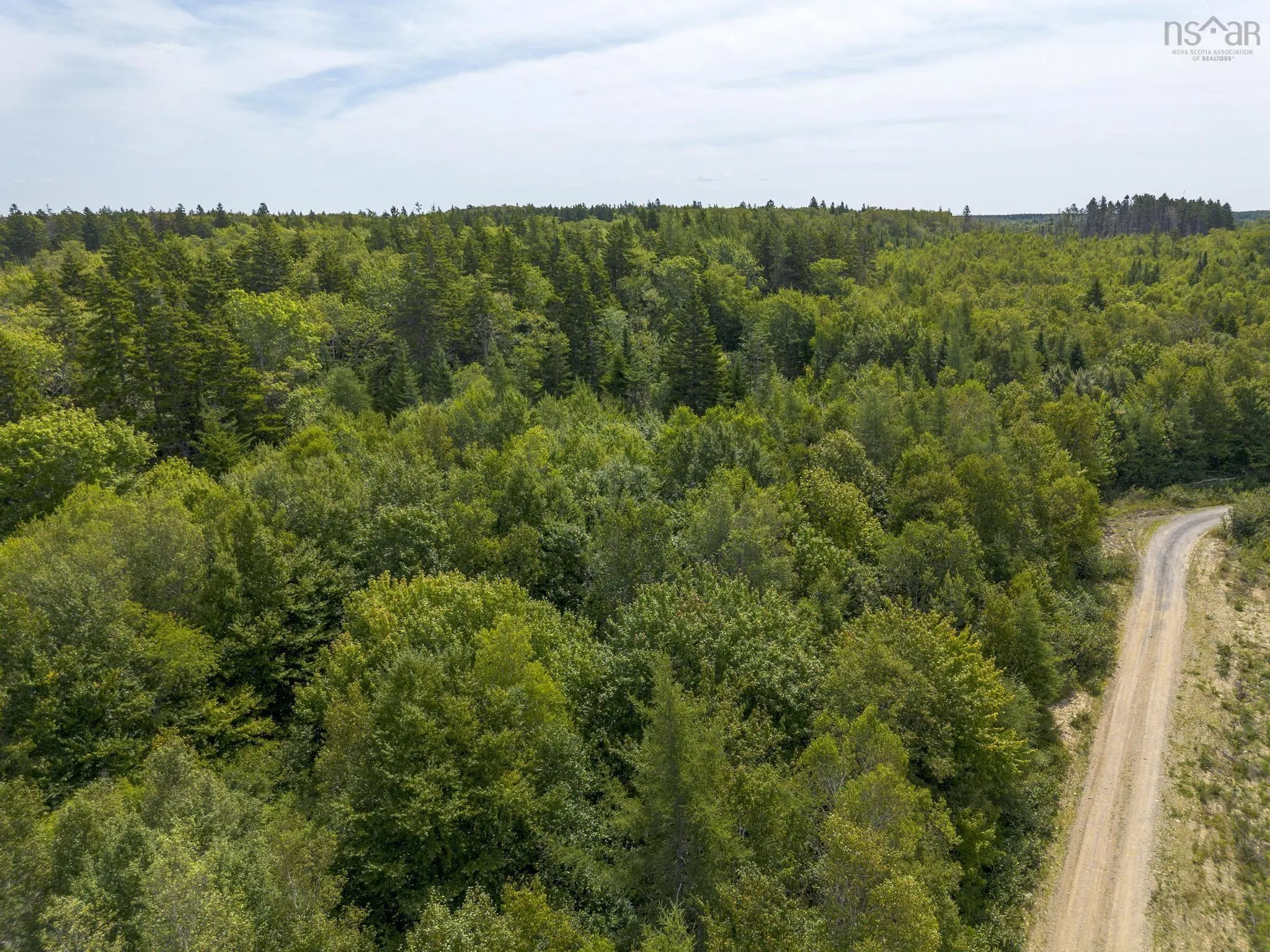 Oakridge Road, Church Point Ns B0w 2z0, ,Land,For Sale,Oakridge,202506386
