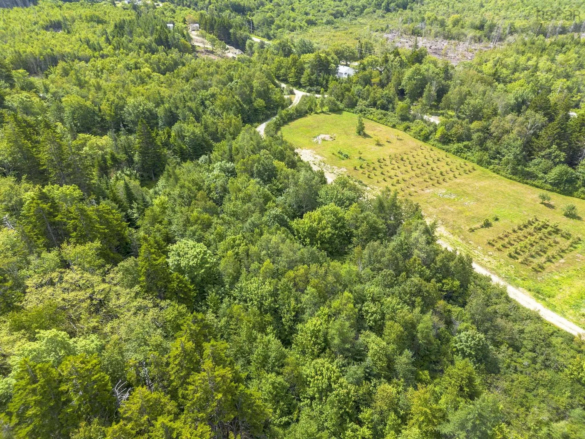 Oakridge Road, Church Point Ns B0w 2z0, ,Land,For Sale,Oakridge,202506386